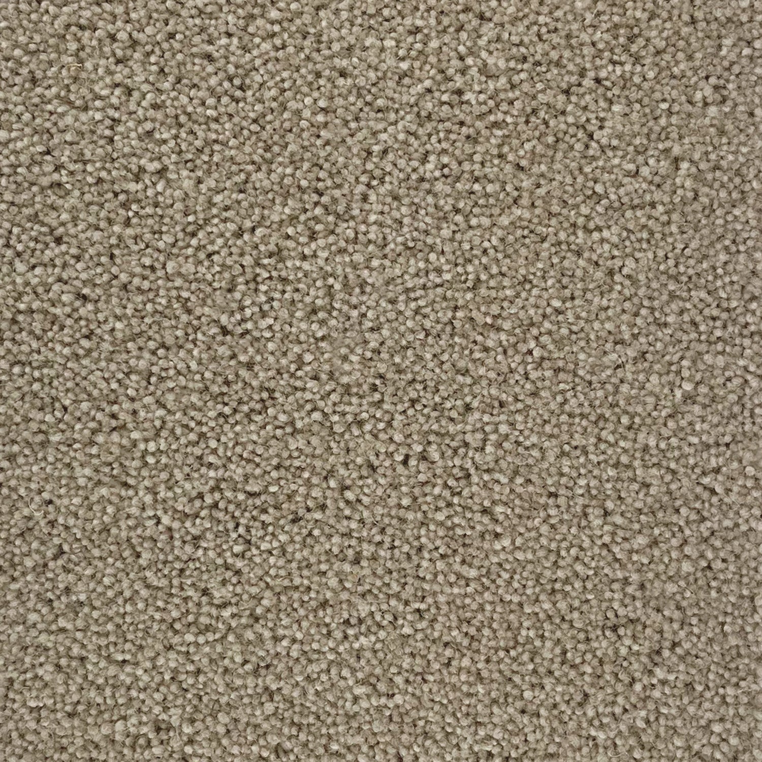 Penthouse Carpets 50oz Stateside 80% Wool Blend Twist Carpet