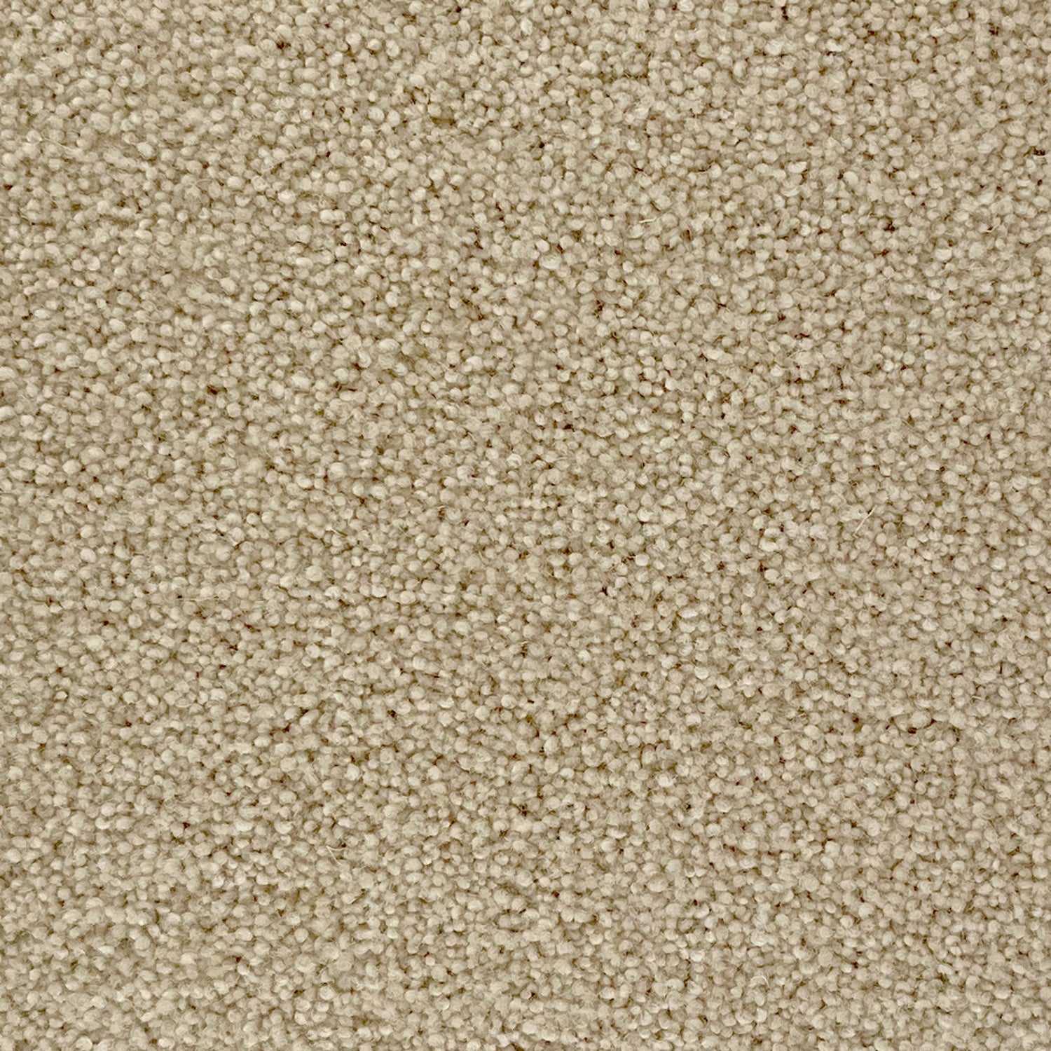 Penthouse Carpets 50oz Stateside 80% Wool Blend Twist Carpet