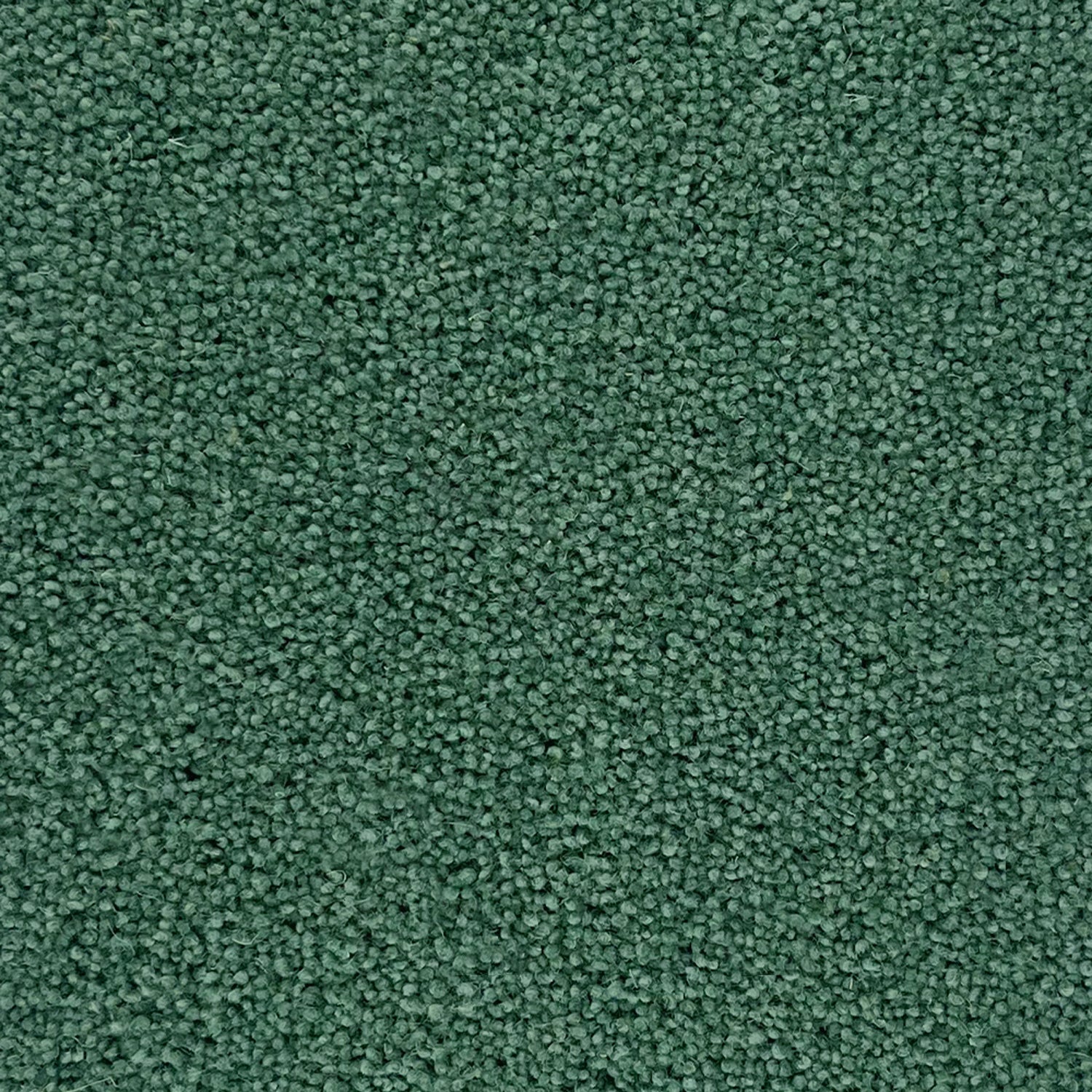 Penthouse Carpets 50oz Stateside 80% Wool Blend Twist Carpet