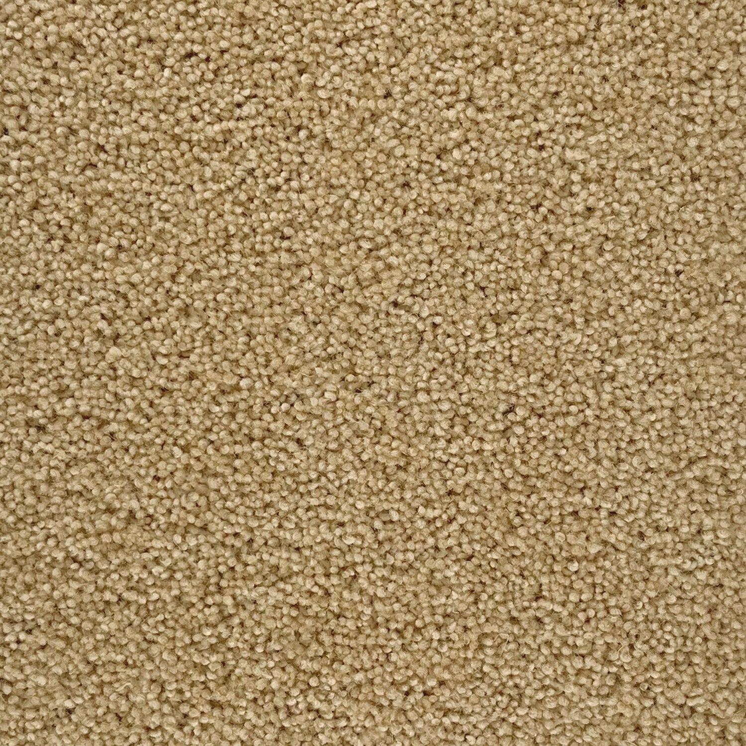Penthouse Carpets 50oz Stateside 80% Wool Blend Twist Carpet