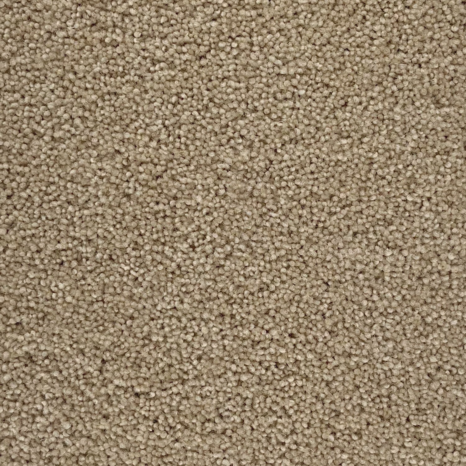 Penthouse Carpets 50oz Stateside 80% Wool Blend Twist Carpet