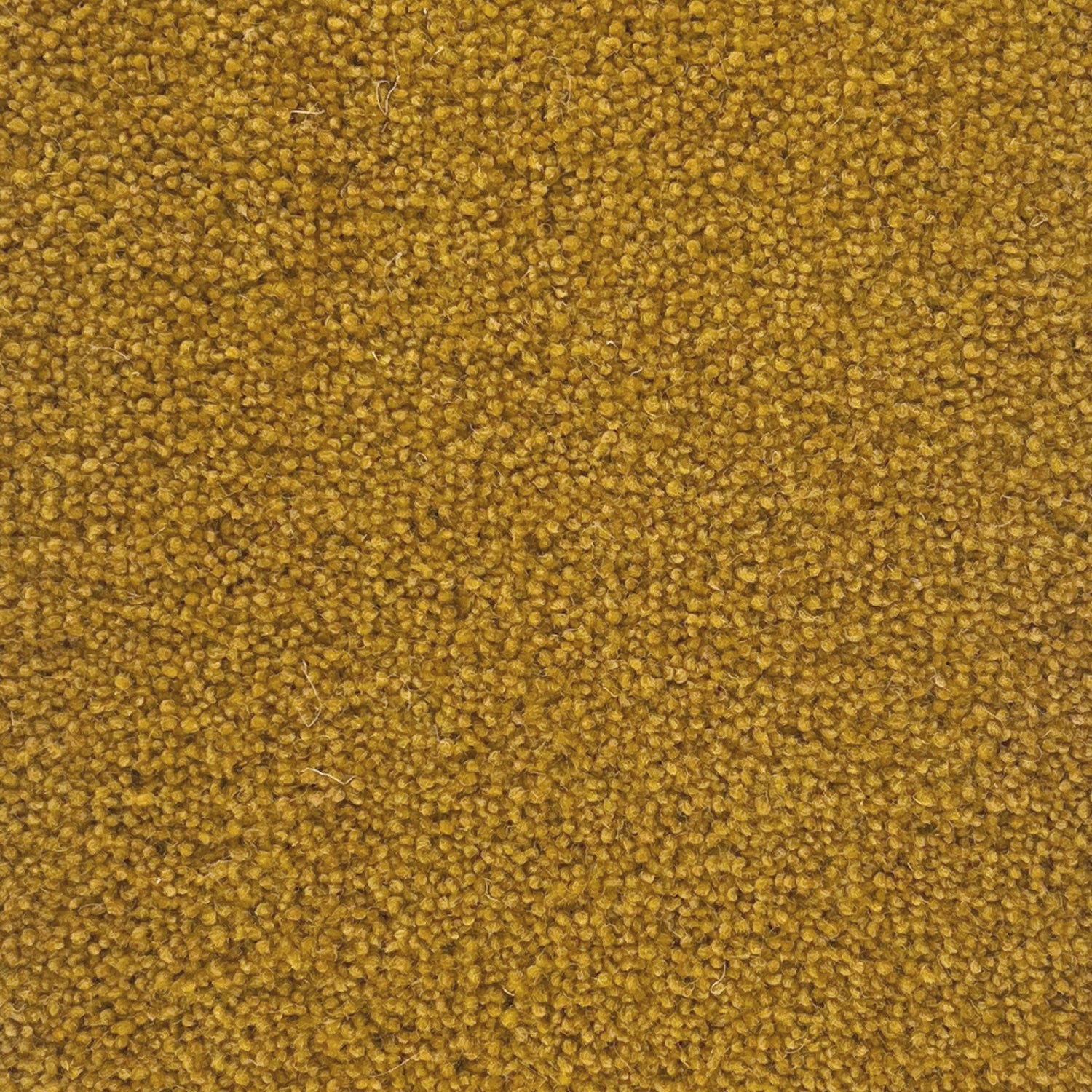 Penthouse Carpets 50oz Stateside 80% Wool Blend Twist Carpet