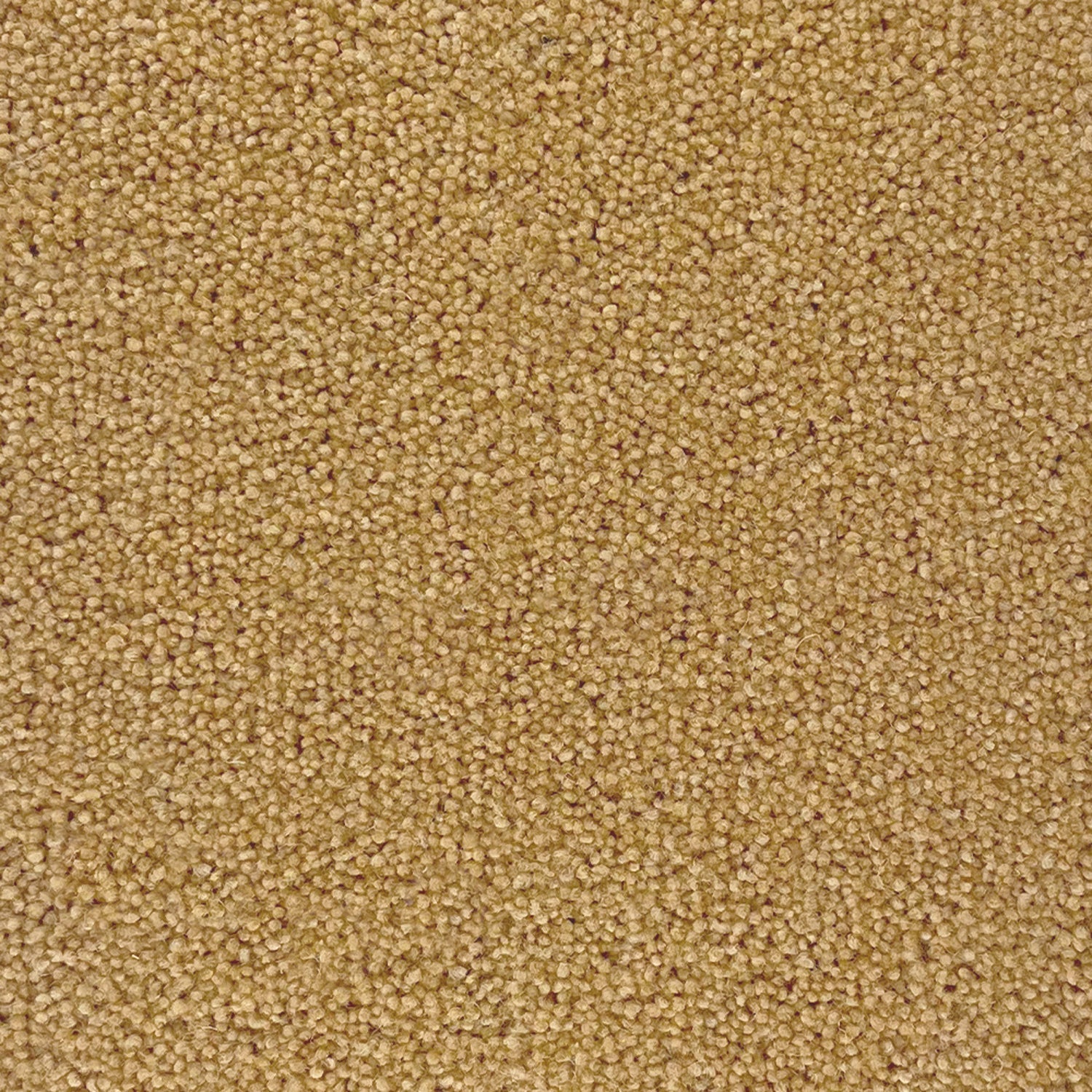 Penthouse Carpets 50oz Stateside 80% Wool Blend Twist Carpet