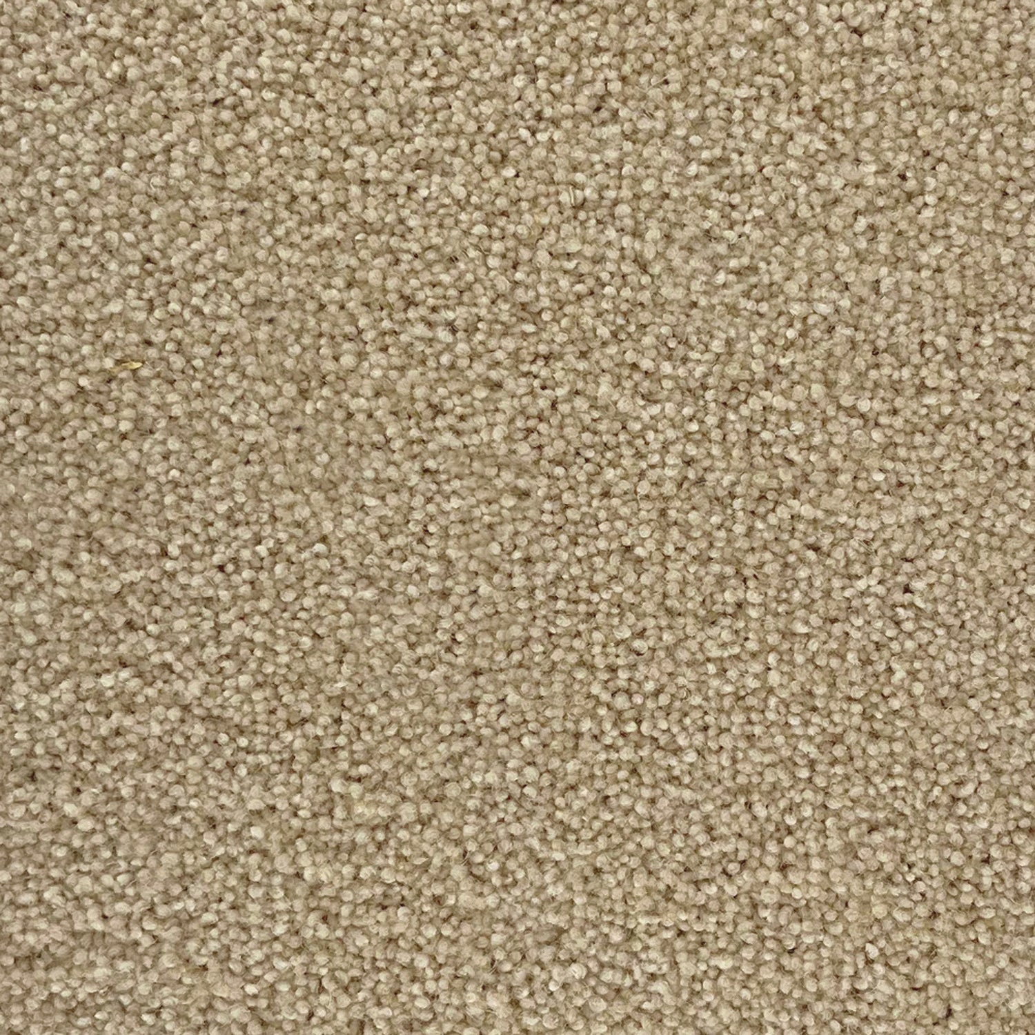 Penthouse Carpets 50oz Stateside 80% Wool Blend Twist Carpet