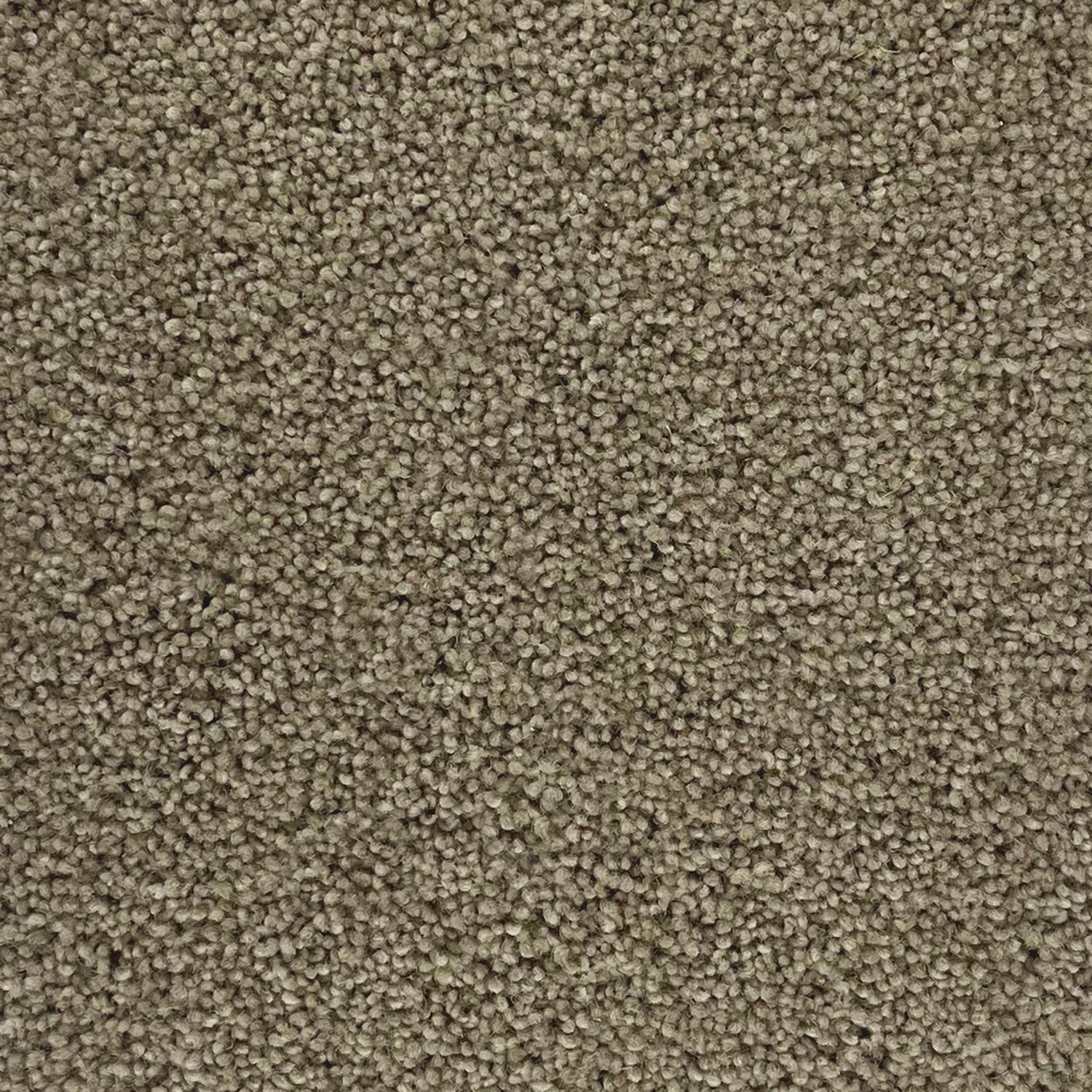 Penthouse Carpets 50oz Stateside 80% Wool Blend Twist Carpet