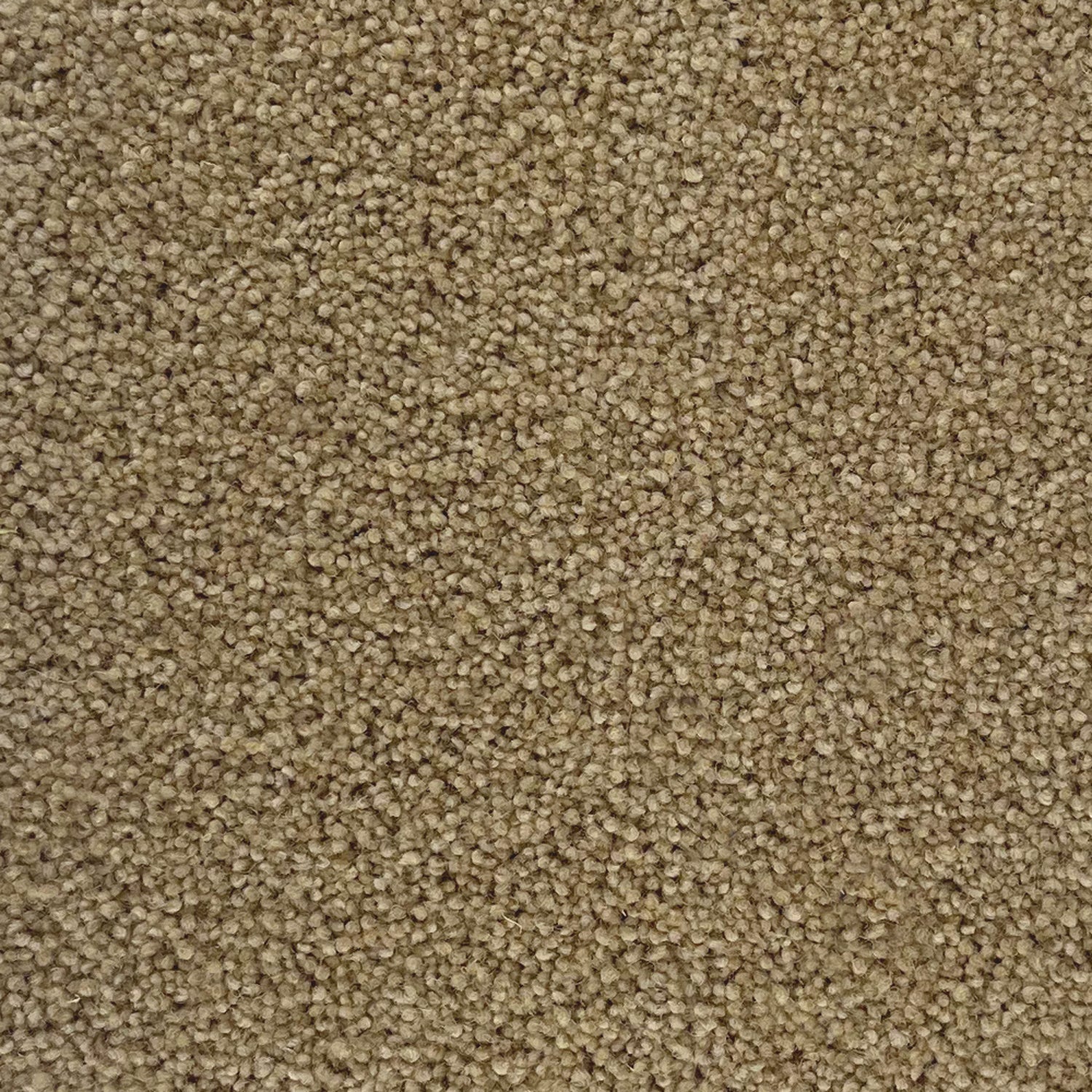 Penthouse Carpets 50oz Stateside 80% Wool Blend Twist Carpet