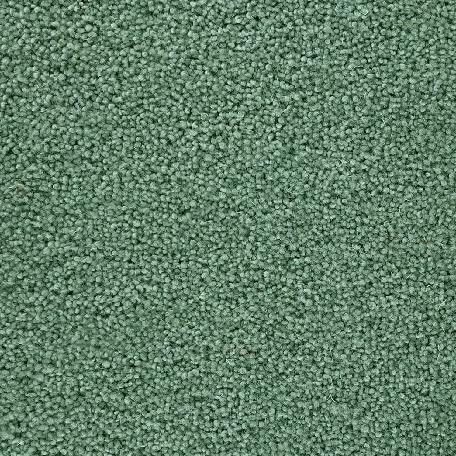 Penthouse Carpets 40oz Super Maxim 80% Wool Blend Twist Pile Carpet