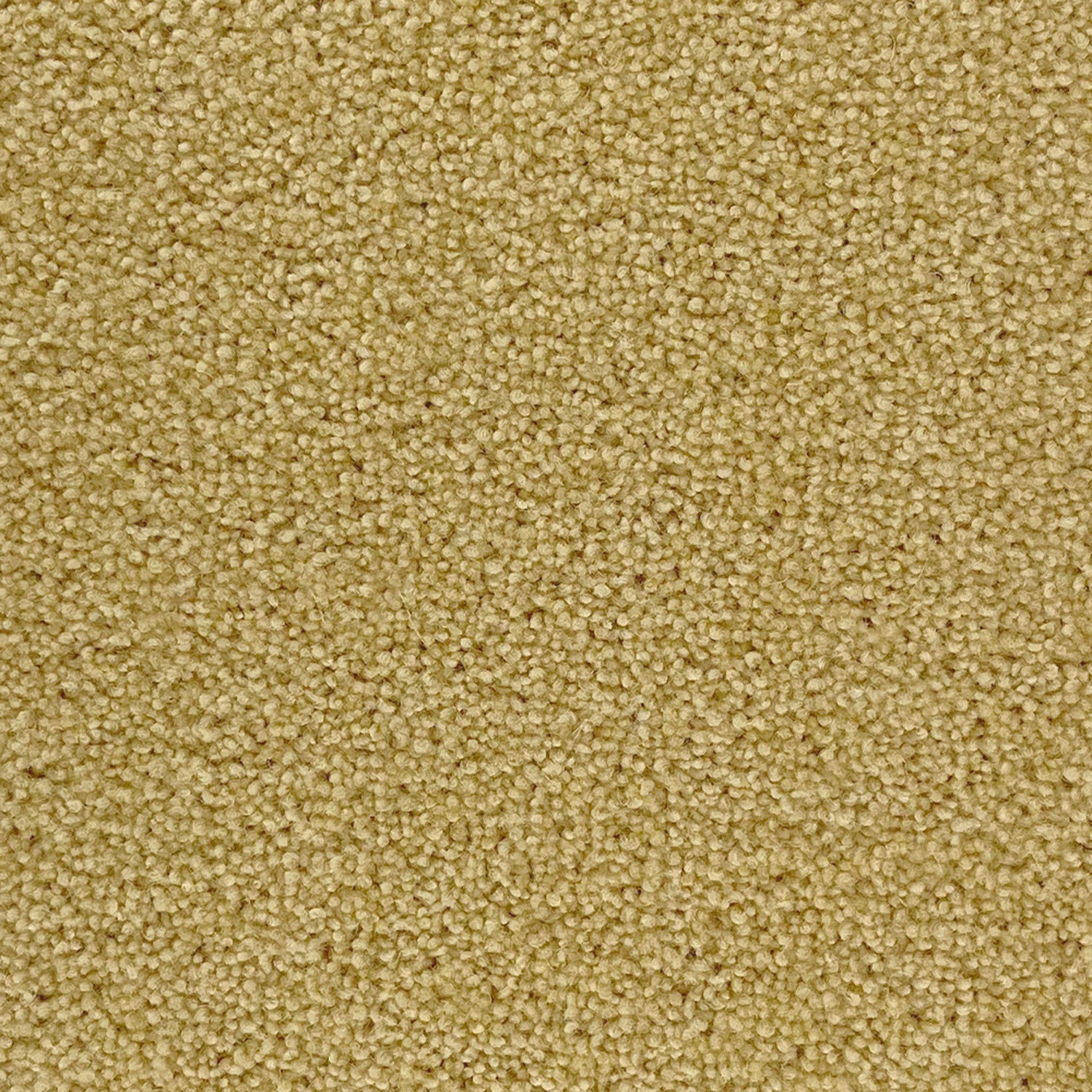 Penthouse Carpets 40oz Super Maxim 80% Wool Blend Twist Pile Carpet