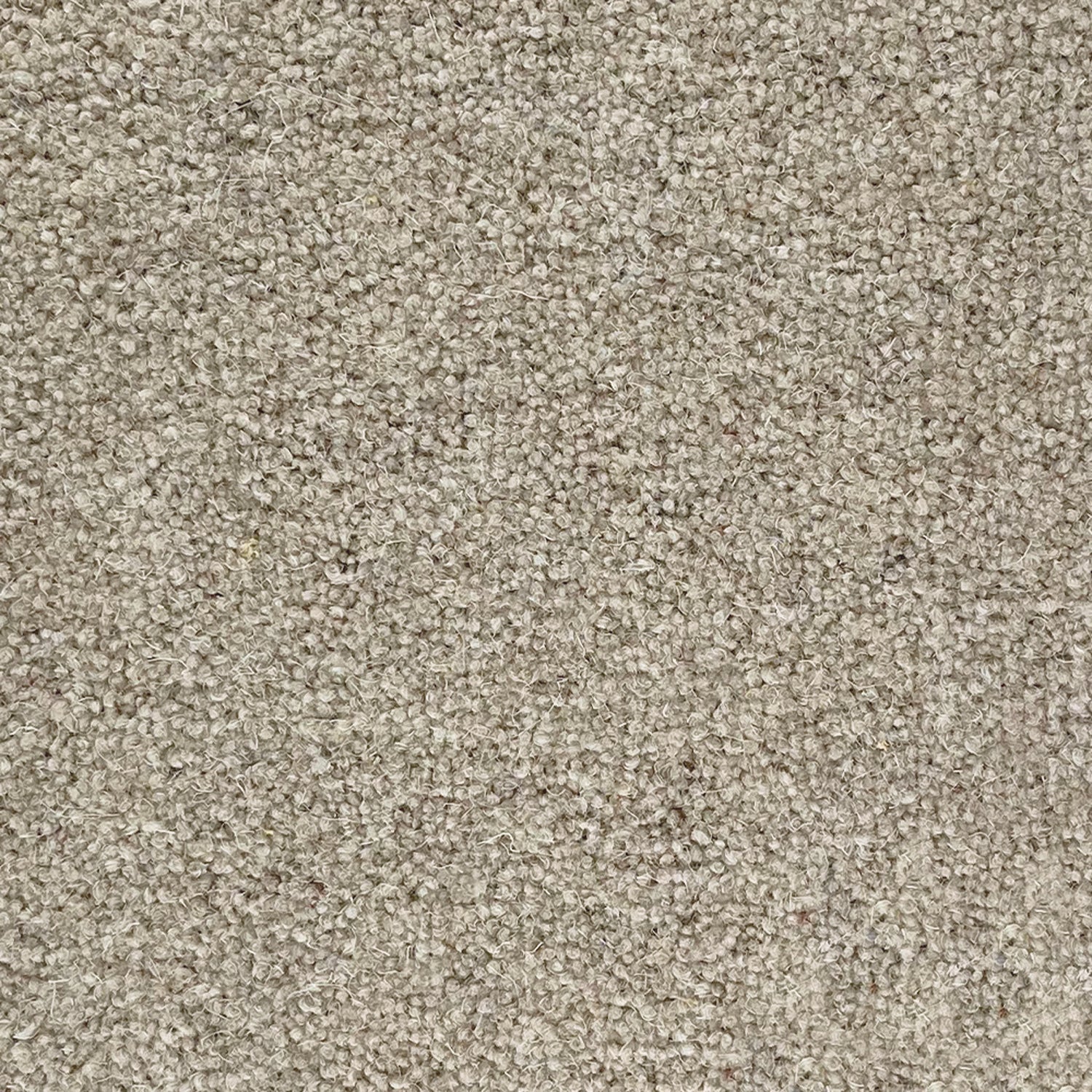 Penthouse Carpets 50oz Super Maxim 80% Wool Blend Twist Pile Carpet