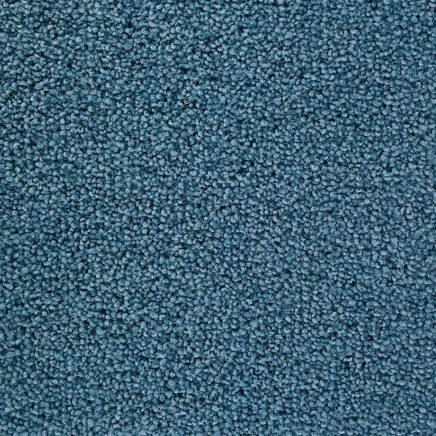 Penthouse Carpets 50oz Super Maxim 80% Wool Blend Twist Pile Carpet