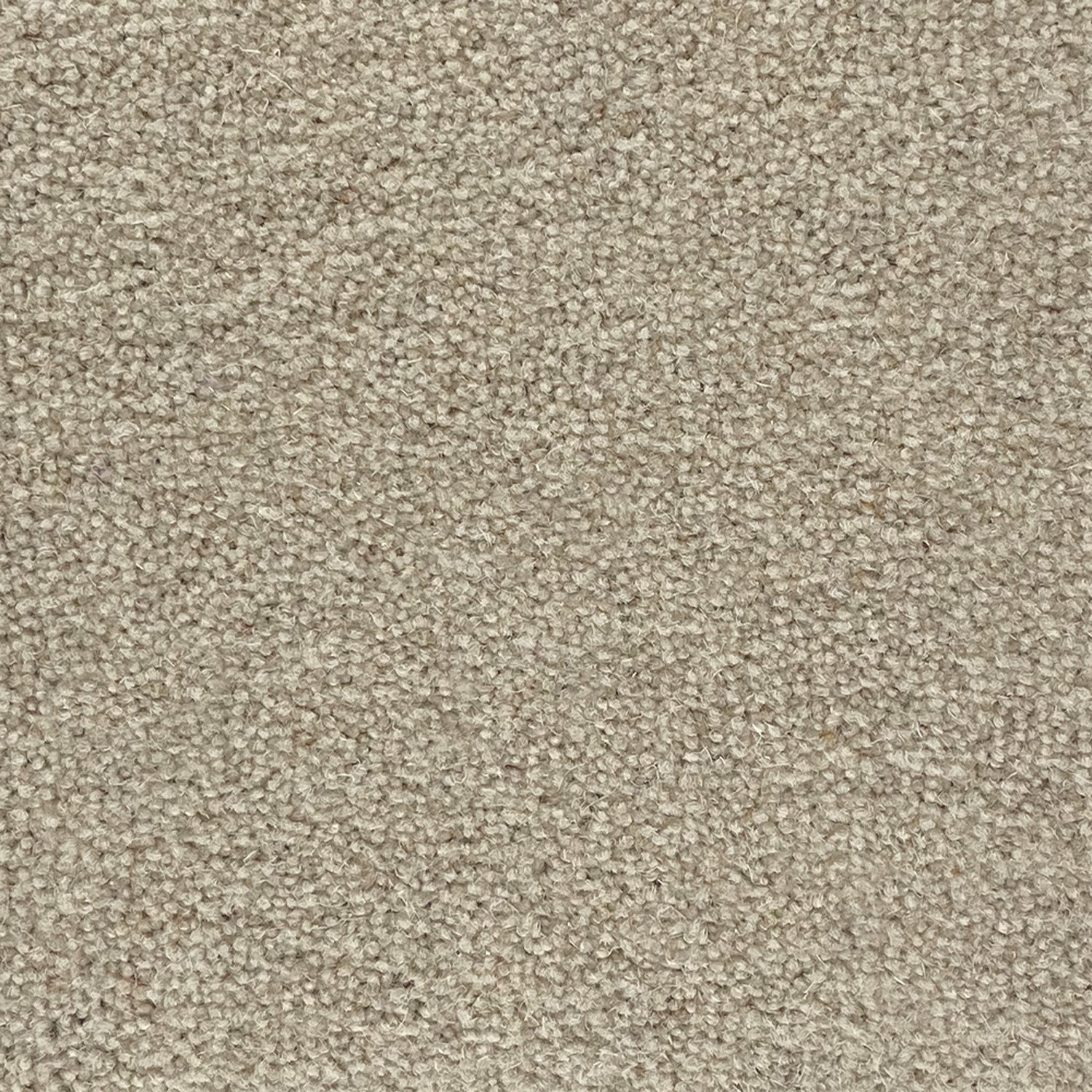 Penthouse Carpets 40oz Super Maxim 80% Wool Blend Twist Pile Carpet