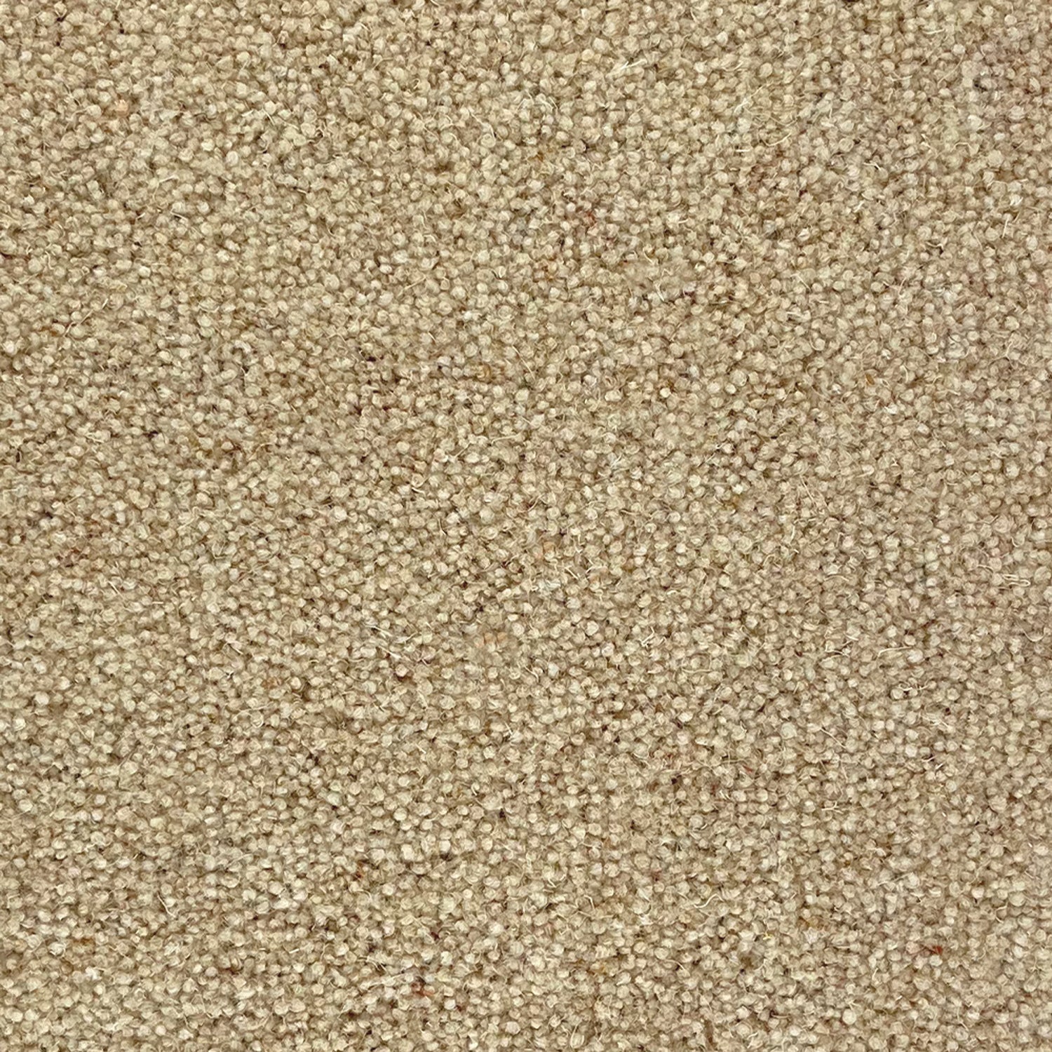 Penthouse Carpets 40oz Super Maxim 80% Wool Blend Twist Pile Carpet