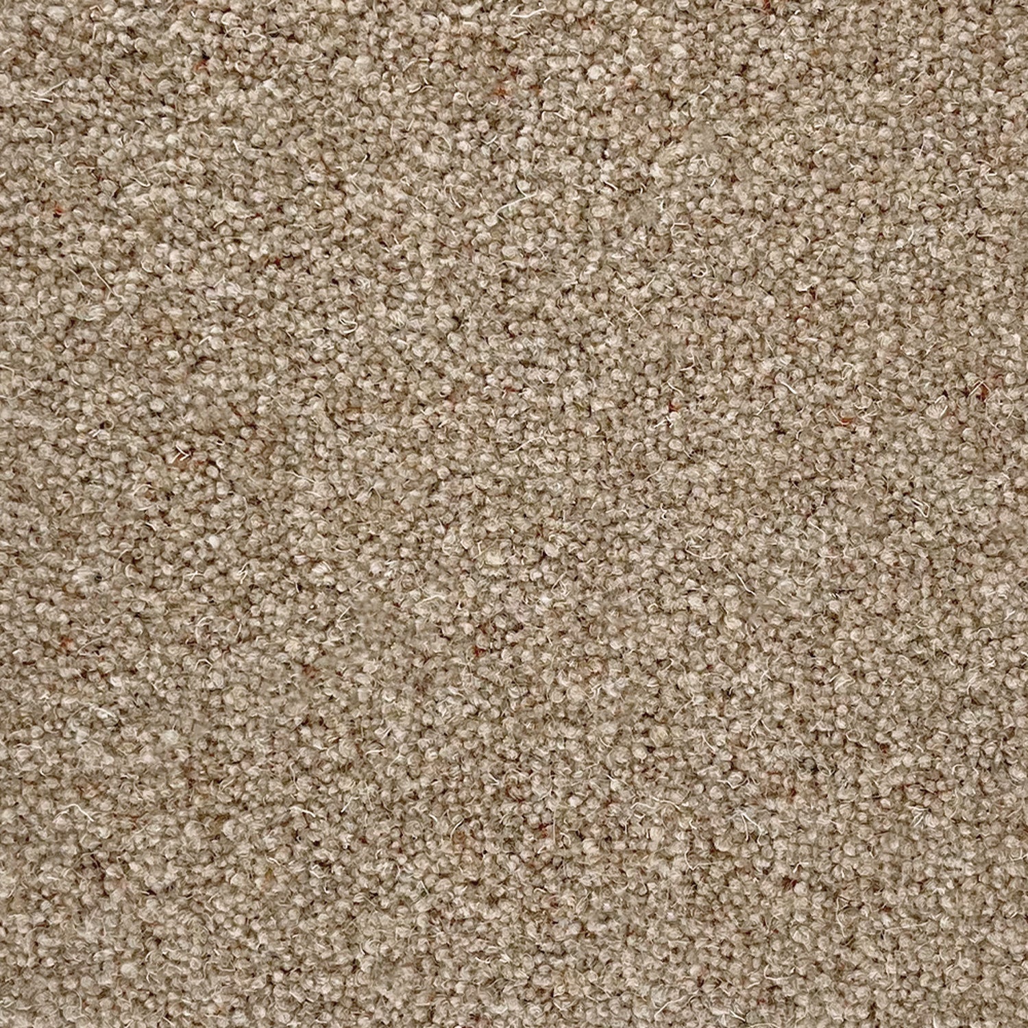 Penthouse Carpets 40oz Super Maxim 80% Wool Blend Twist Pile Carpet