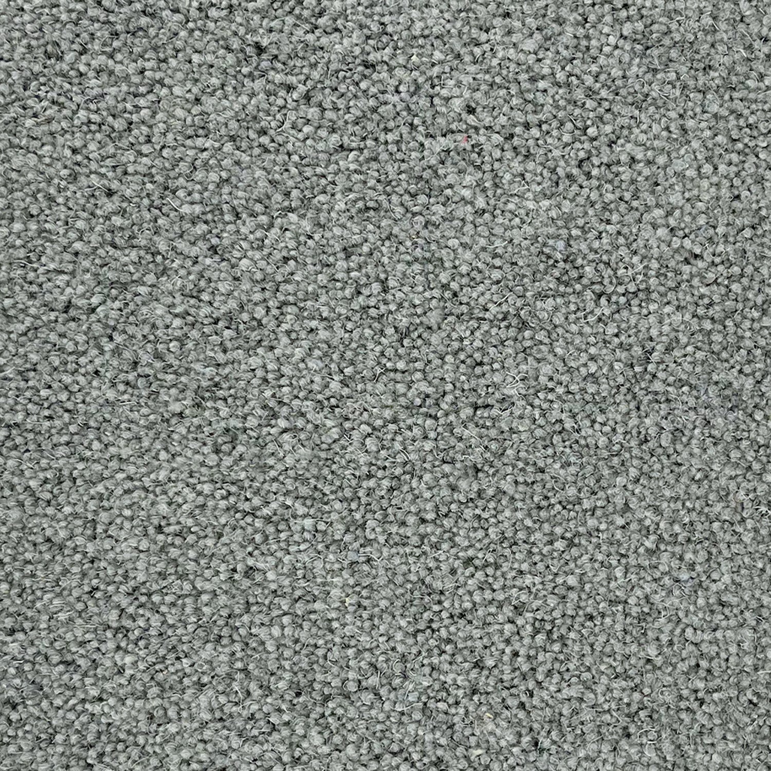 Penthouse Carpets 50oz Super Maxim 80% Wool Blend Twist Pile Carpet