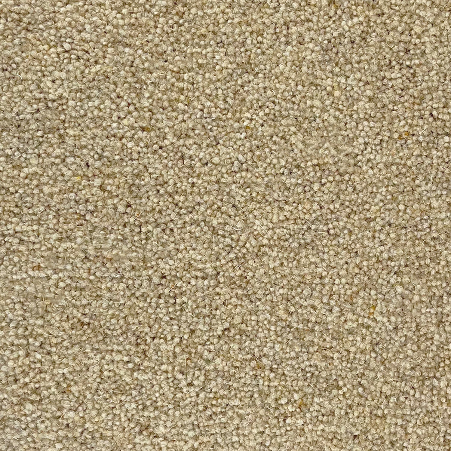 Penthouse Carpets 40oz Super Maxim 80% Wool Blend Twist Pile Carpet