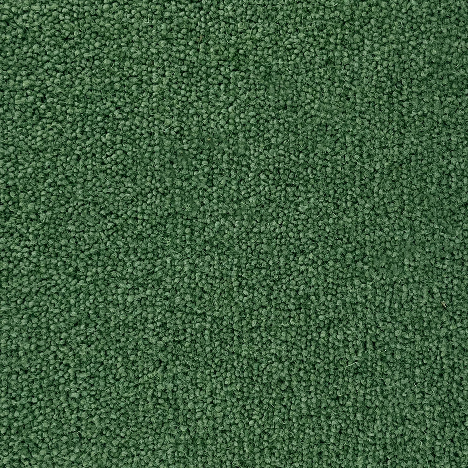 Penthouse Carpets 50oz Super Maxim 80% Wool Blend Twist Pile Carpet