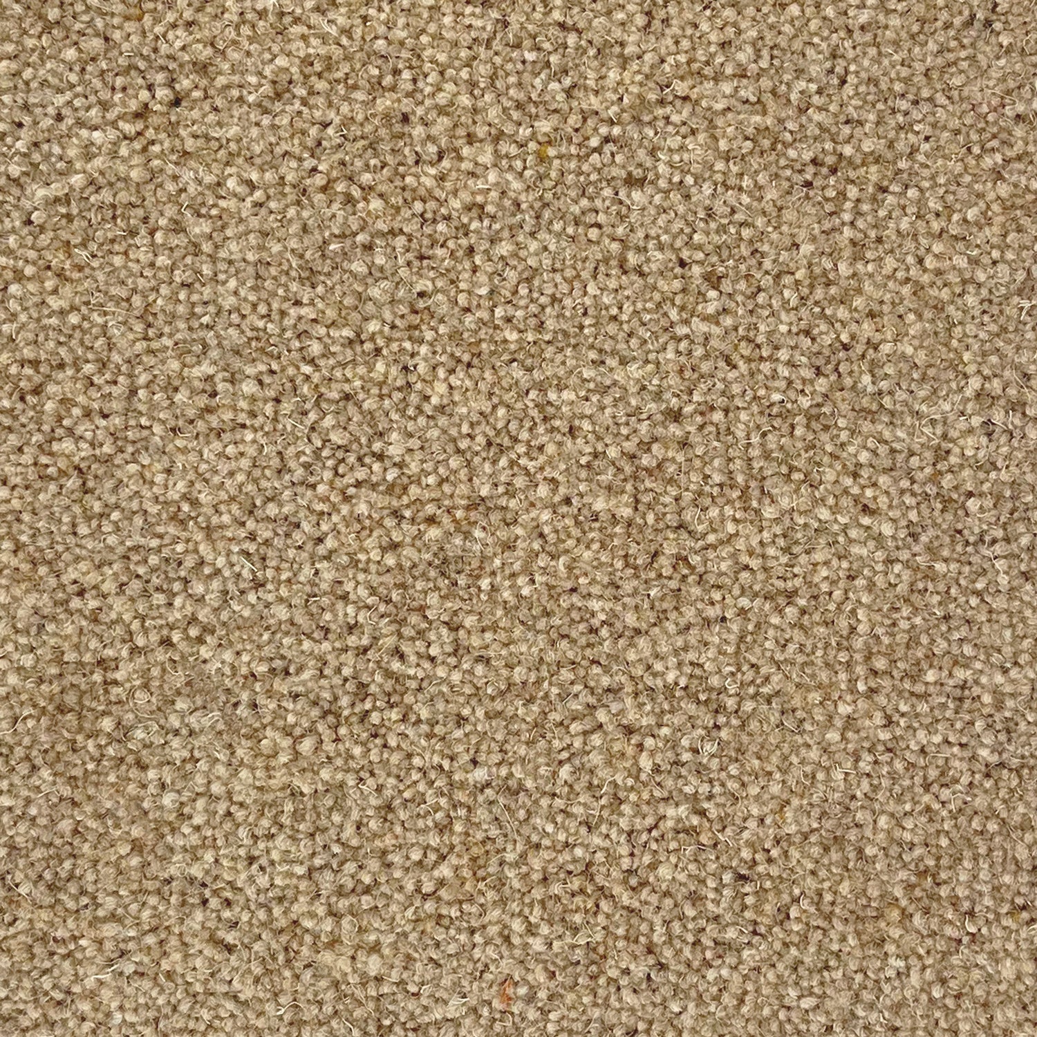 Penthouse Carpets 50oz Vermont 80% Wool Blend Twist Pile Carpet