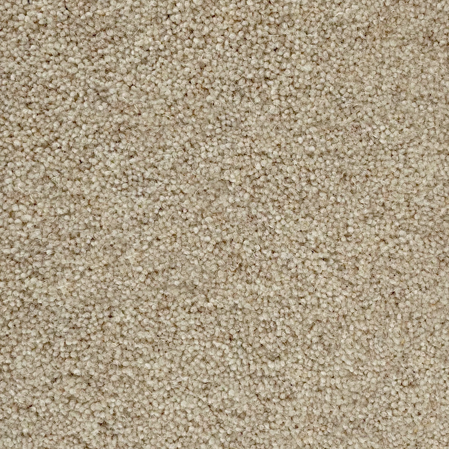 Penthouse Carpets 60oz Vermont 80% Wool Blend Twist Pile Carpet