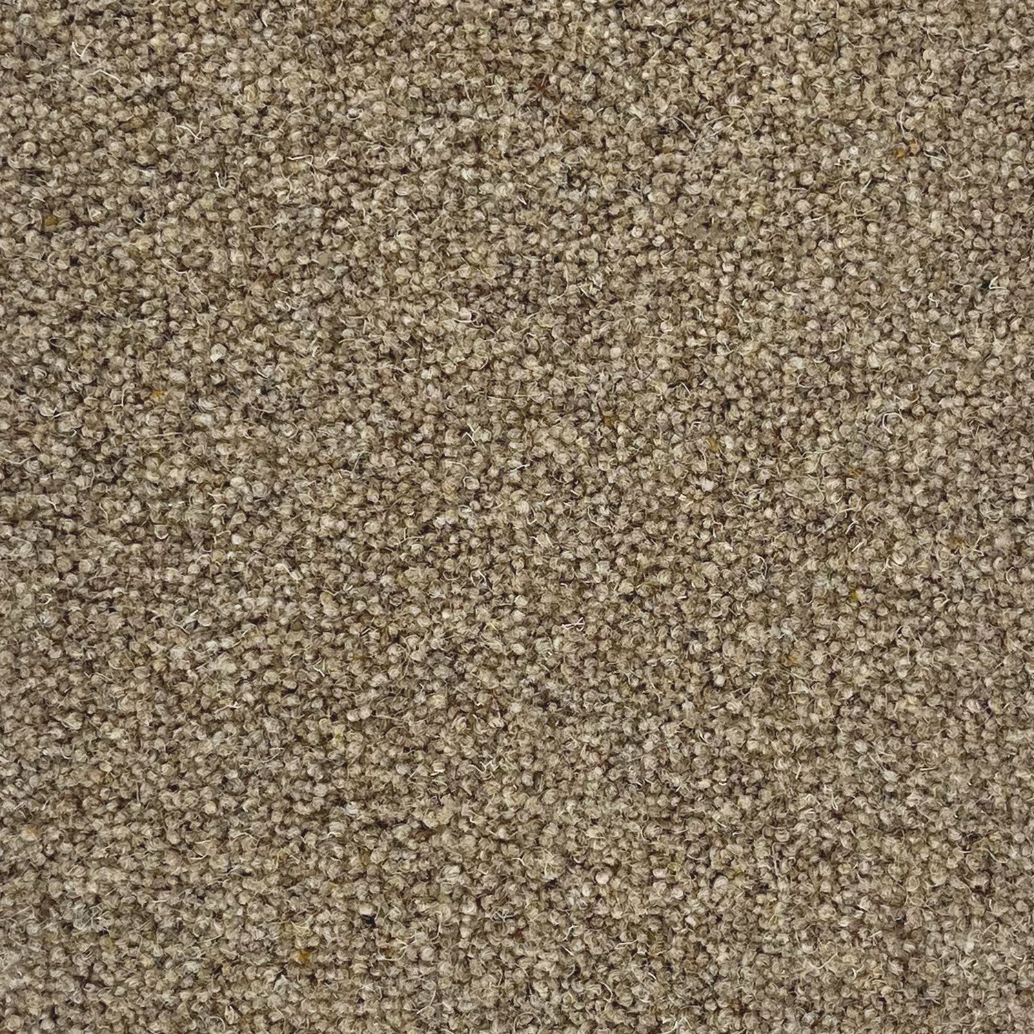 Penthouse Carpets 50oz Vermont 80% Wool Blend Twist Pile Carpet