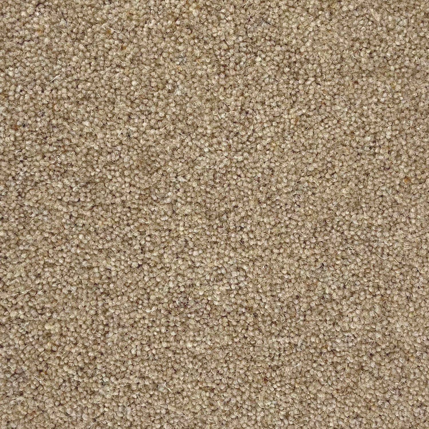 Penthouse Carpets 60oz Vermont 80% Wool Blend Twist Pile Carpet