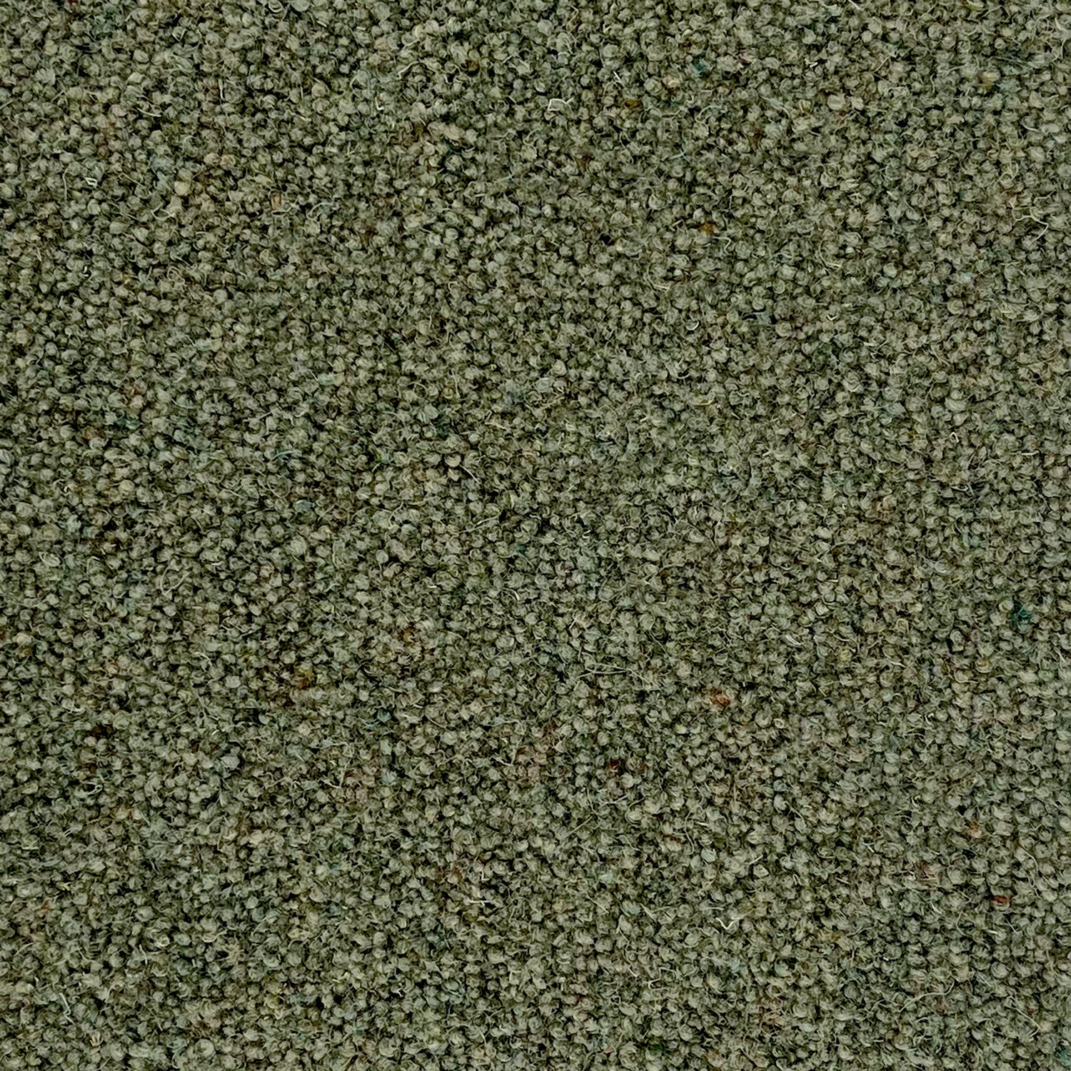 Penthouse Carpets 60oz Vermont 80% Wool Blend Twist Pile Carpet
