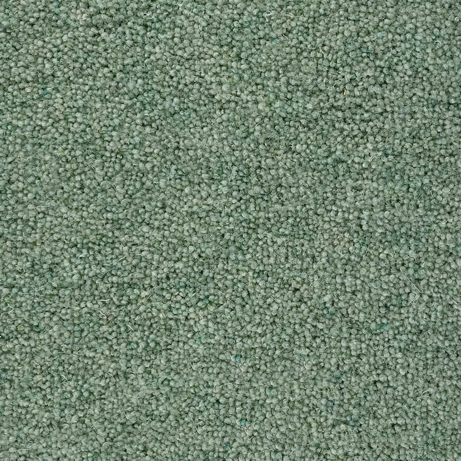 Penthouse Carpets 40oz Vermont 80% Wool Blend Twist Pile Carpet