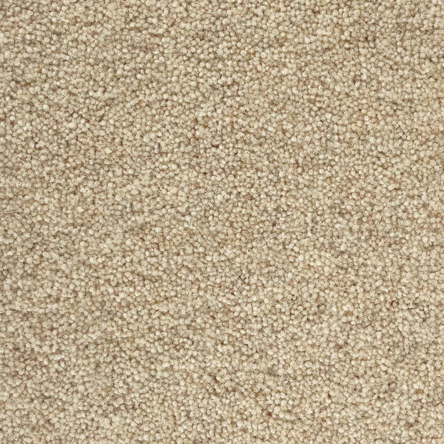 Penthouse Carpets 40oz Vermont 80% Wool Blend Twist Pile Carpet