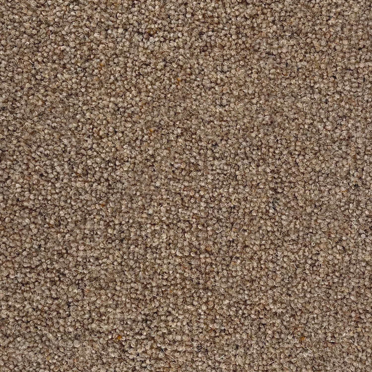 Penthouse Carpets 40oz Vermont 80% Wool Blend Twist Pile Carpet
