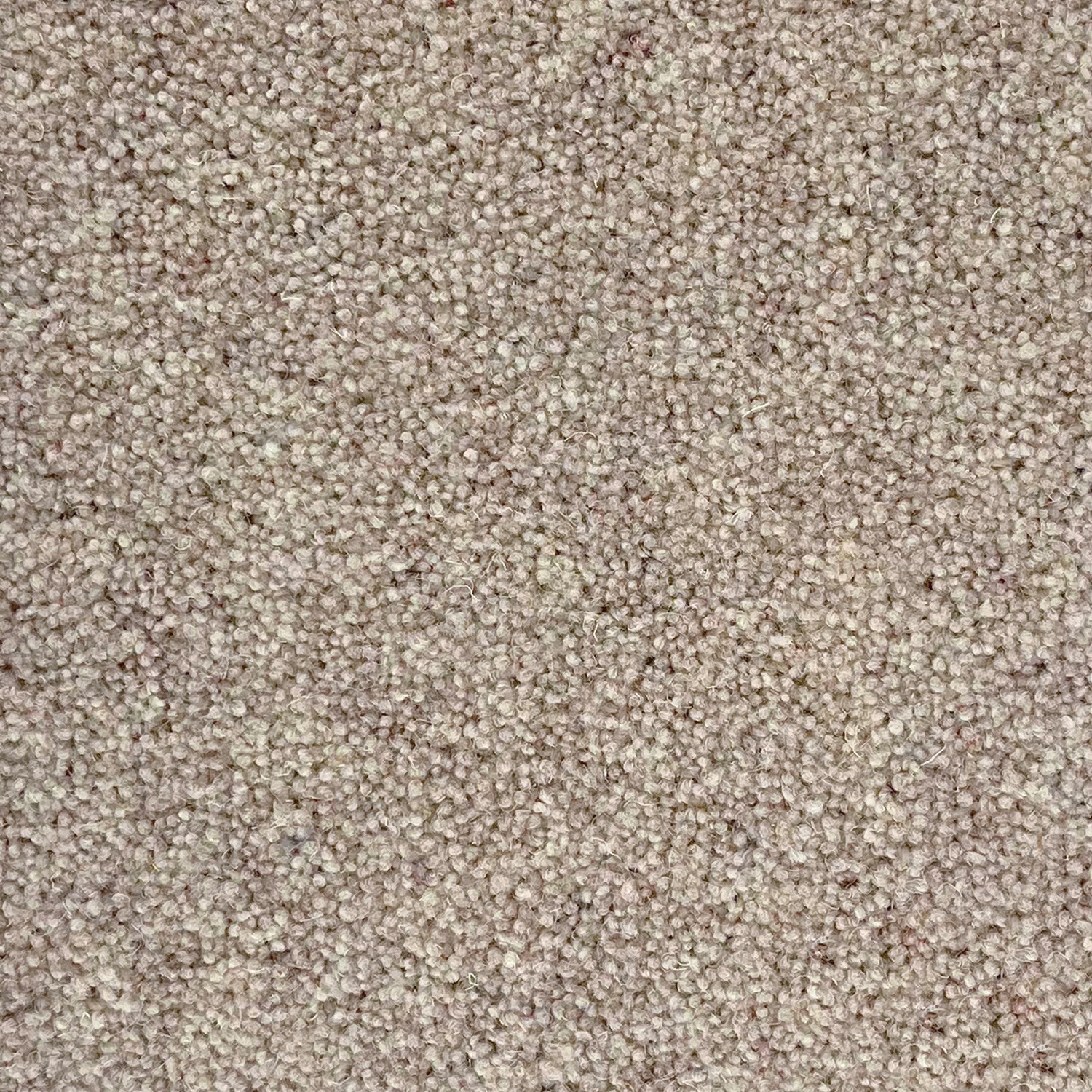 Penthouse Carpets 50oz Vermont 80% Wool Blend Twist Pile Carpet