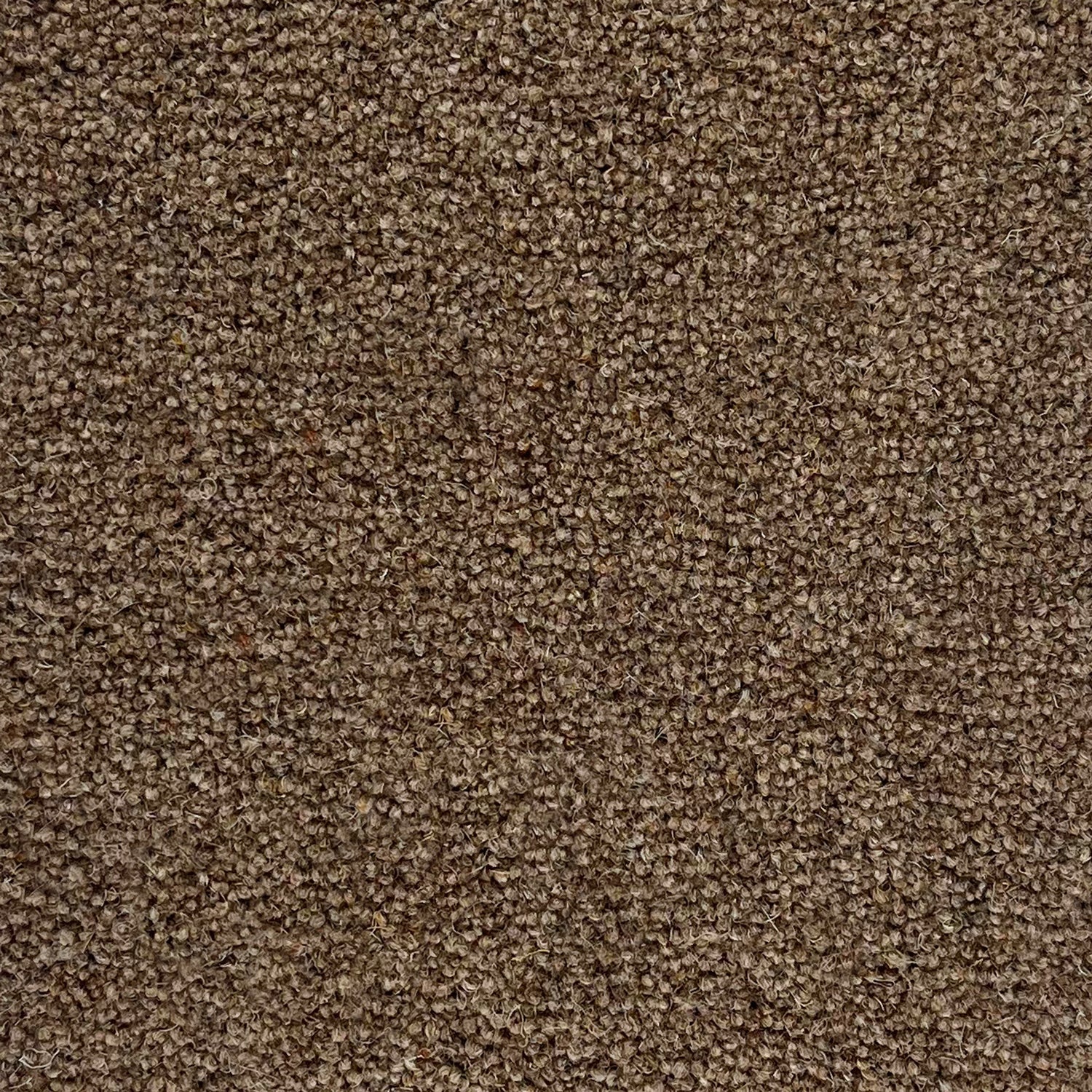 Penthouse Carpets 50oz Vermont 80% Wool Blend Twist Pile Carpet