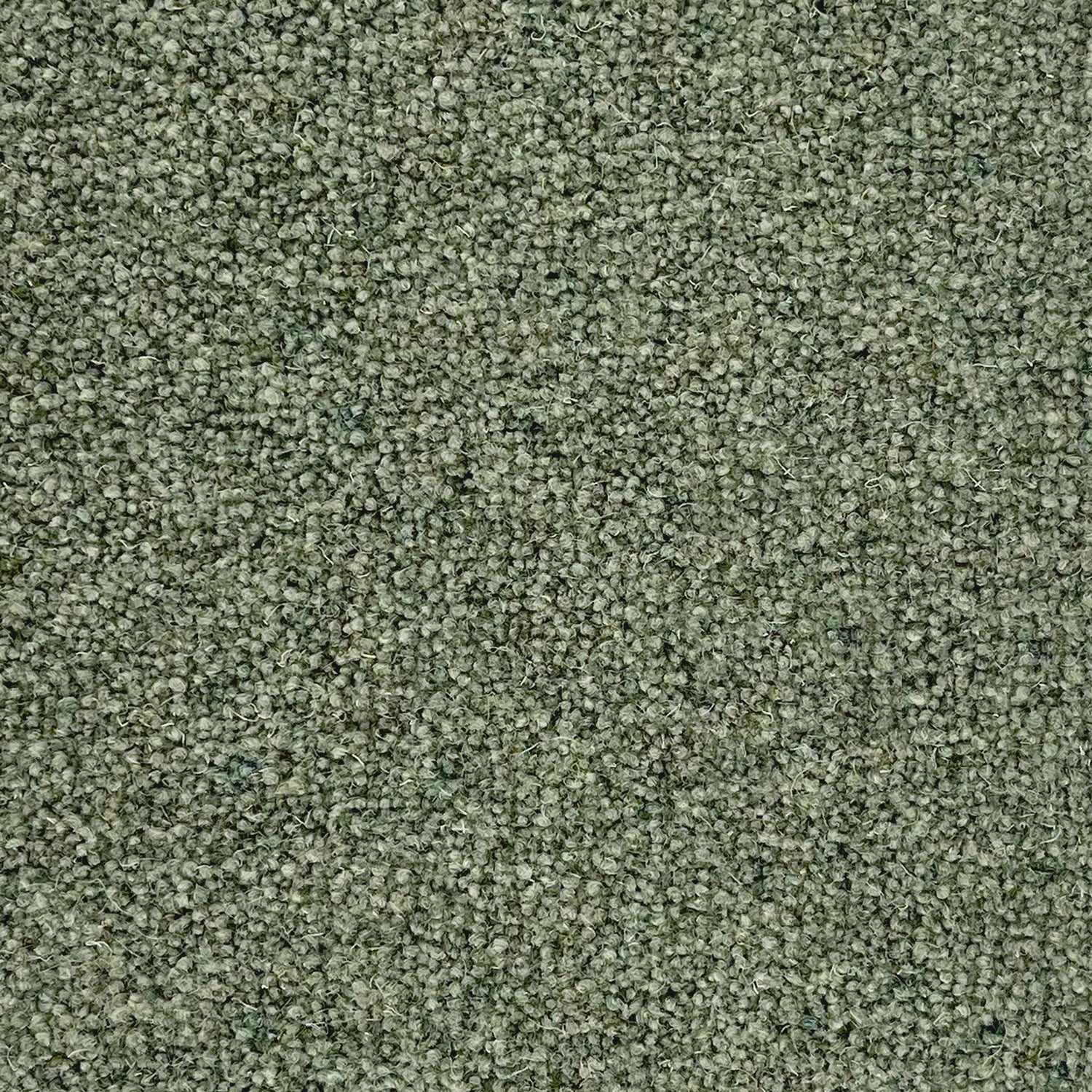 Penthouse Carpets 50oz Vermont 80% Wool Blend Twist Pile Carpet