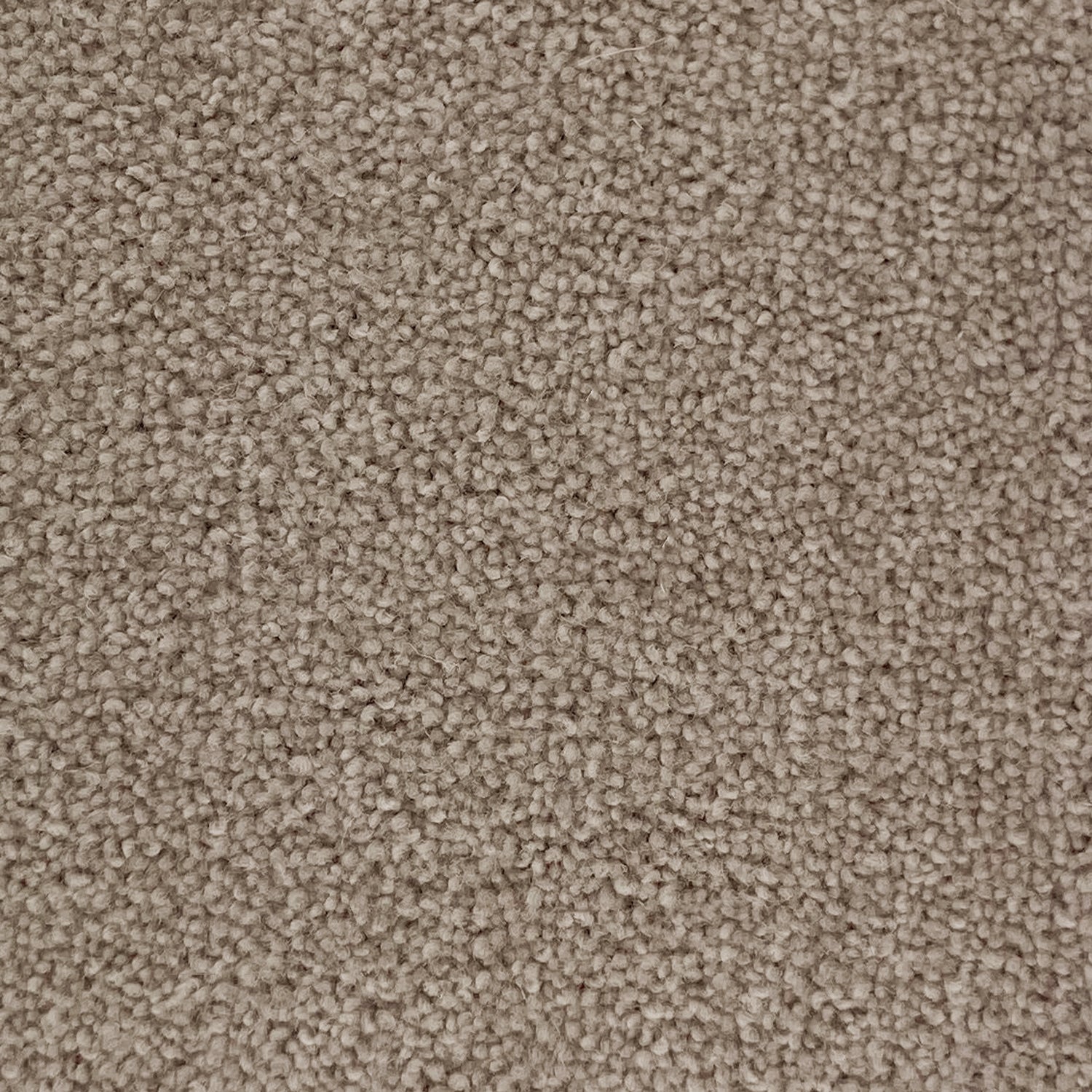 Penthouse Carpets 50oz Wentworth 80% Wool Blend Twist Pile Carpet
