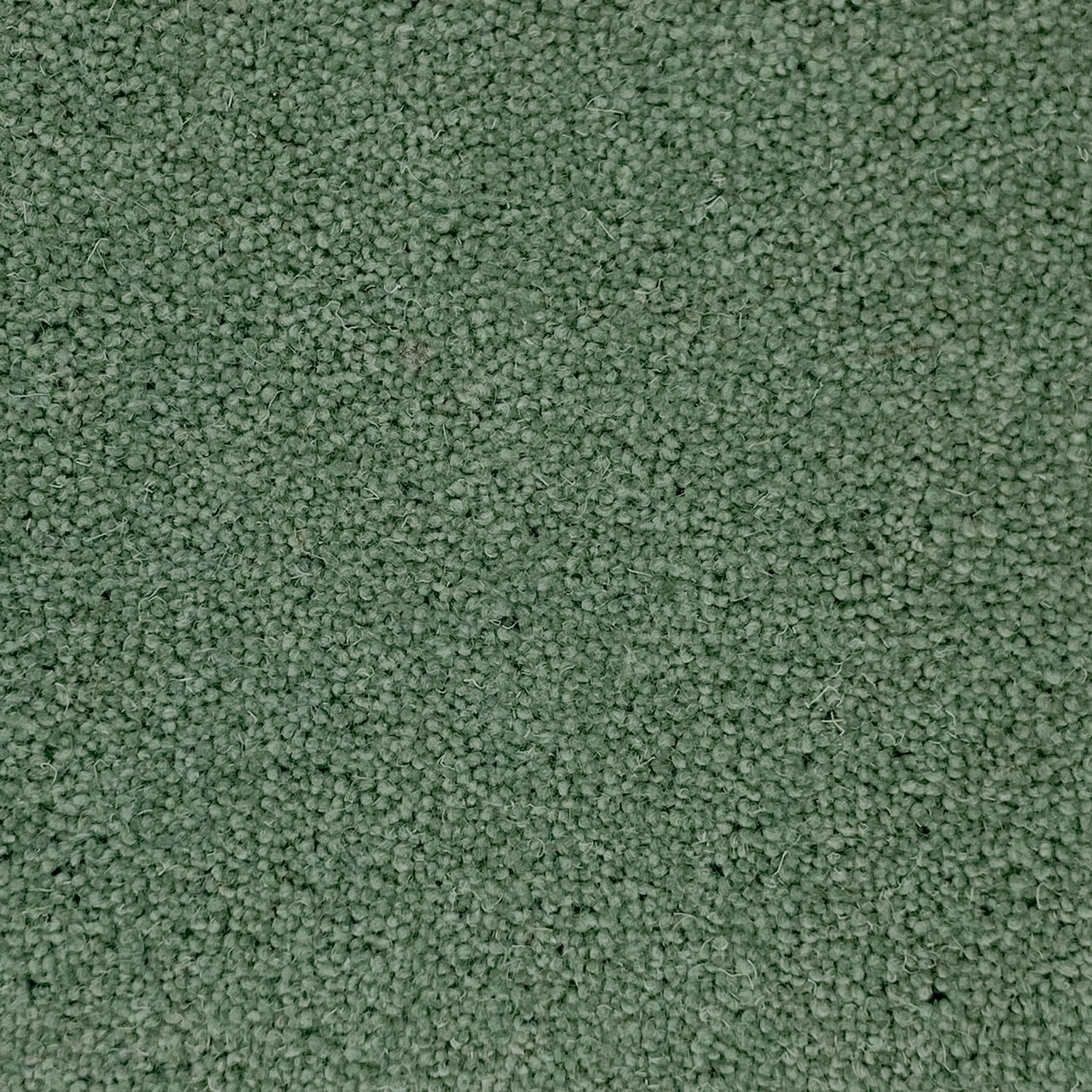 Penthouse Carpets 40oz Wentworth 80% Wool Blend Twist Pile Carpet