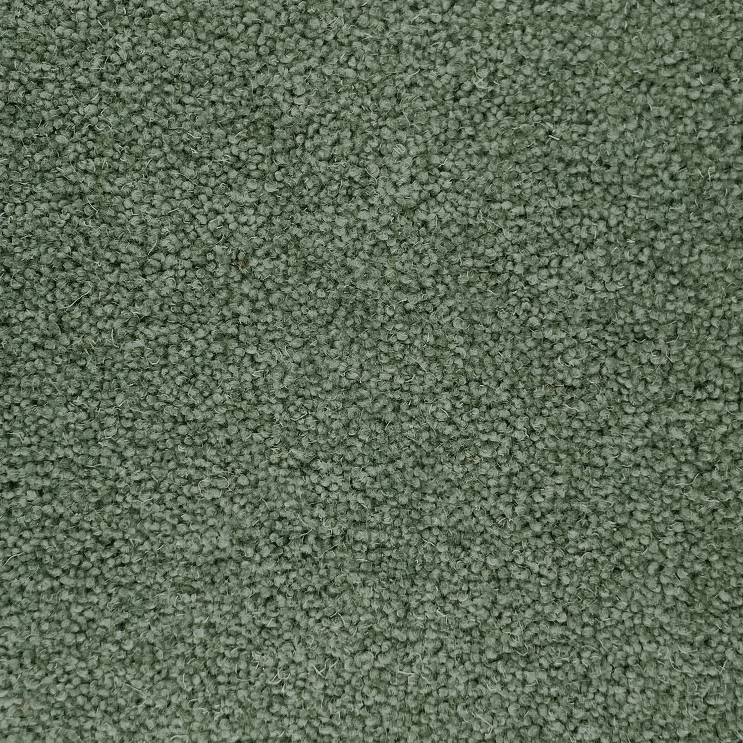 Penthouse Carpets 50oz Wentworth 80% Wool Blend Twist Pile Carpet