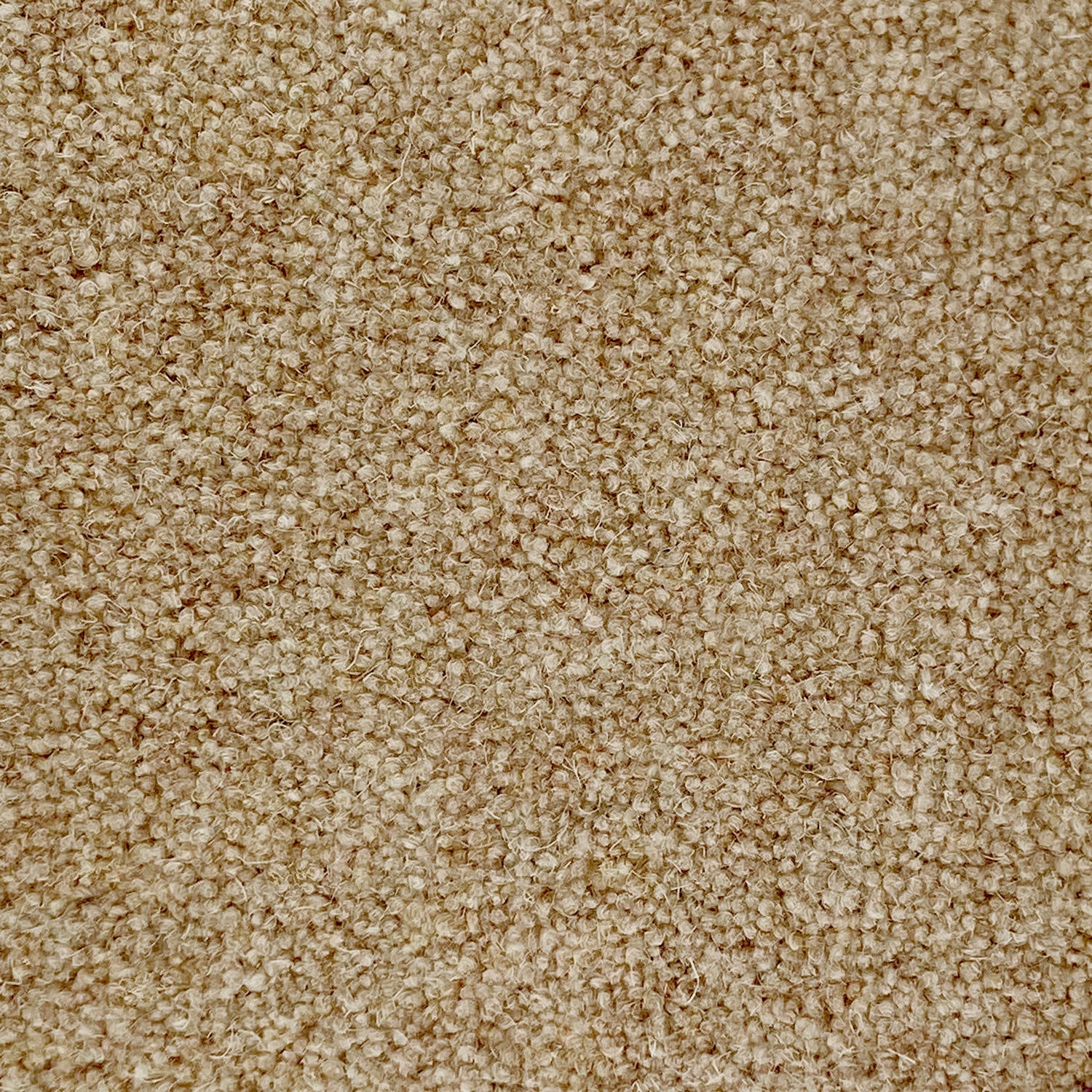 Penthouse Carpets 50oz Wentworth 80% Wool Blend Twist Pile Carpet