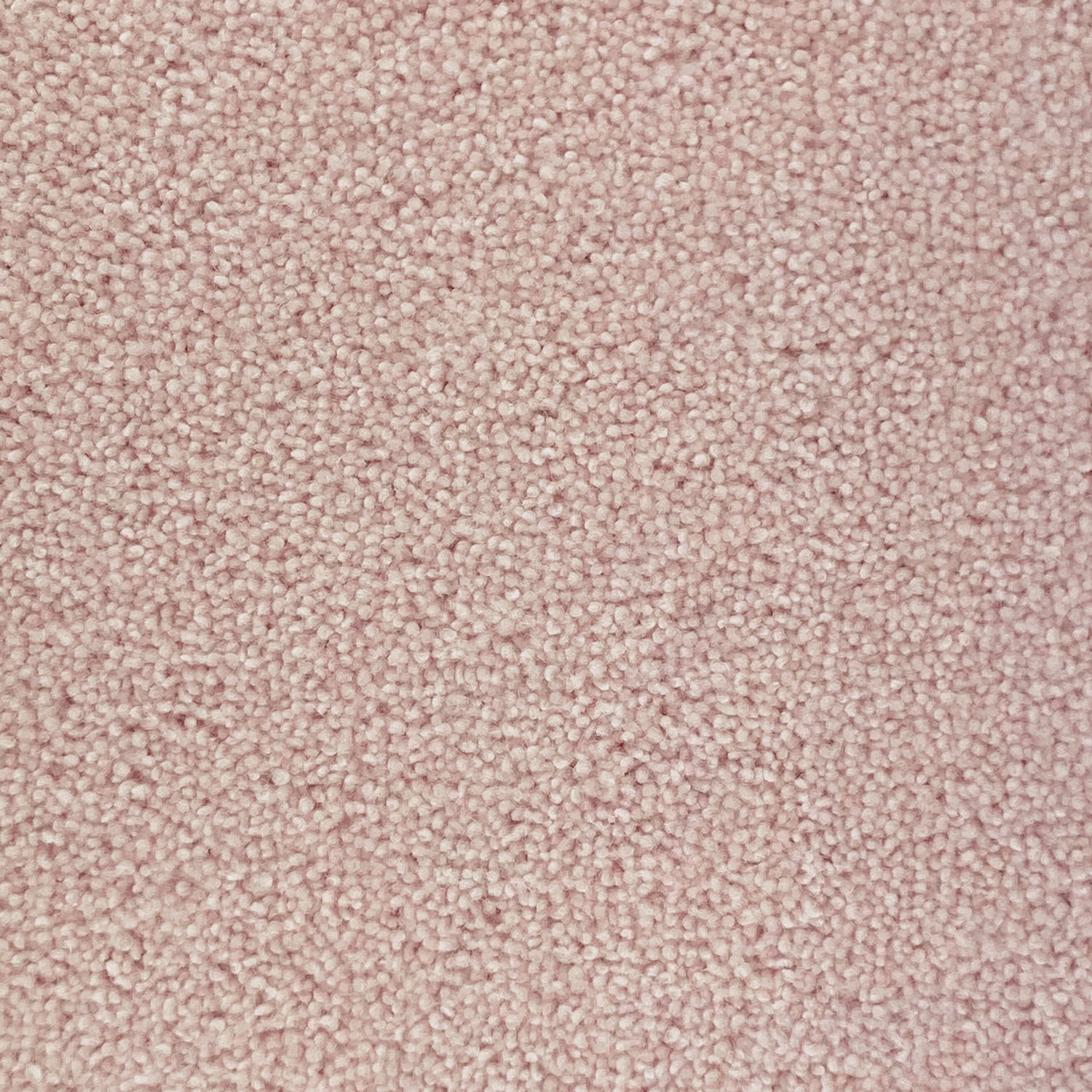 Penthouse Carpets 50oz Wentworth 80% Wool Blend Twist Pile Carpet