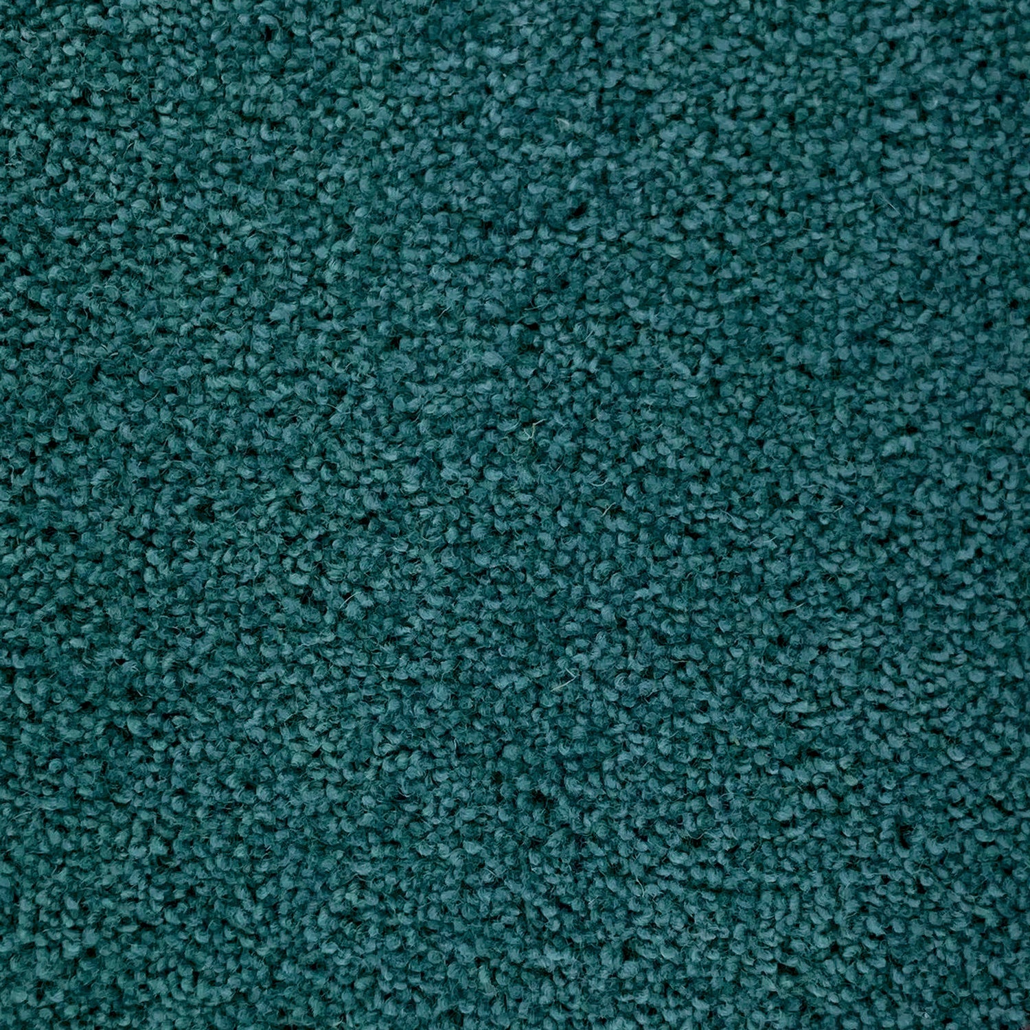Penthouse Carpets 50oz Wentworth 80% Wool Blend Twist Pile Carpet