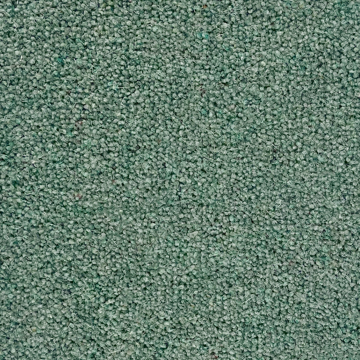 Penthouse Carpets 40oz Seasons 80% Wool Blend Twist Pile Carpet
