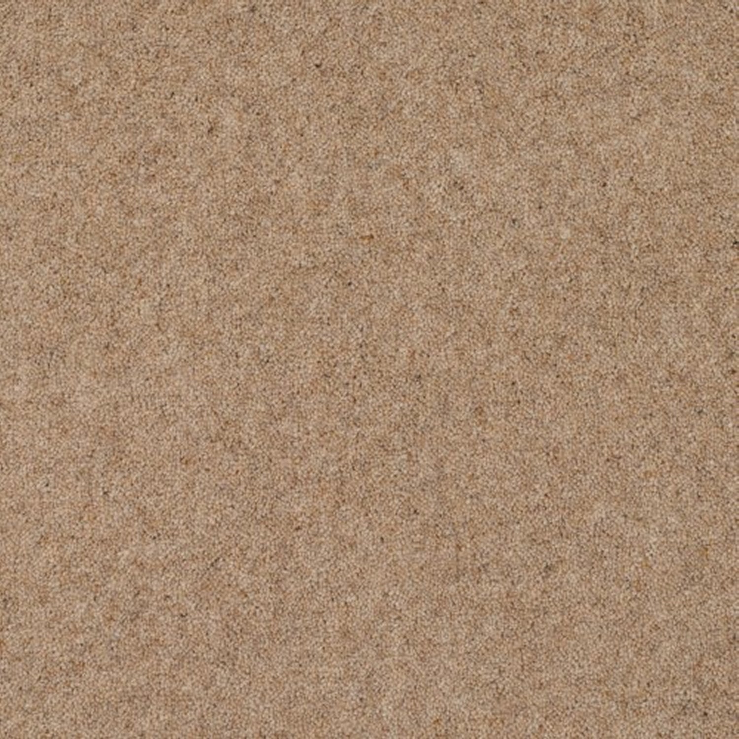 Victoria Carpets 40oz Burford Super 80% Wool Blend Twist