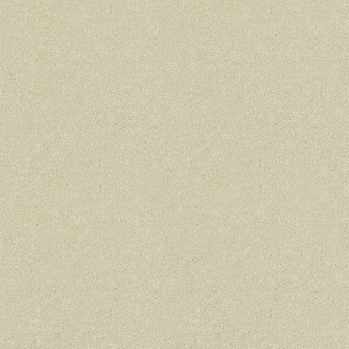 Victoria Carpets First Impressions Twist