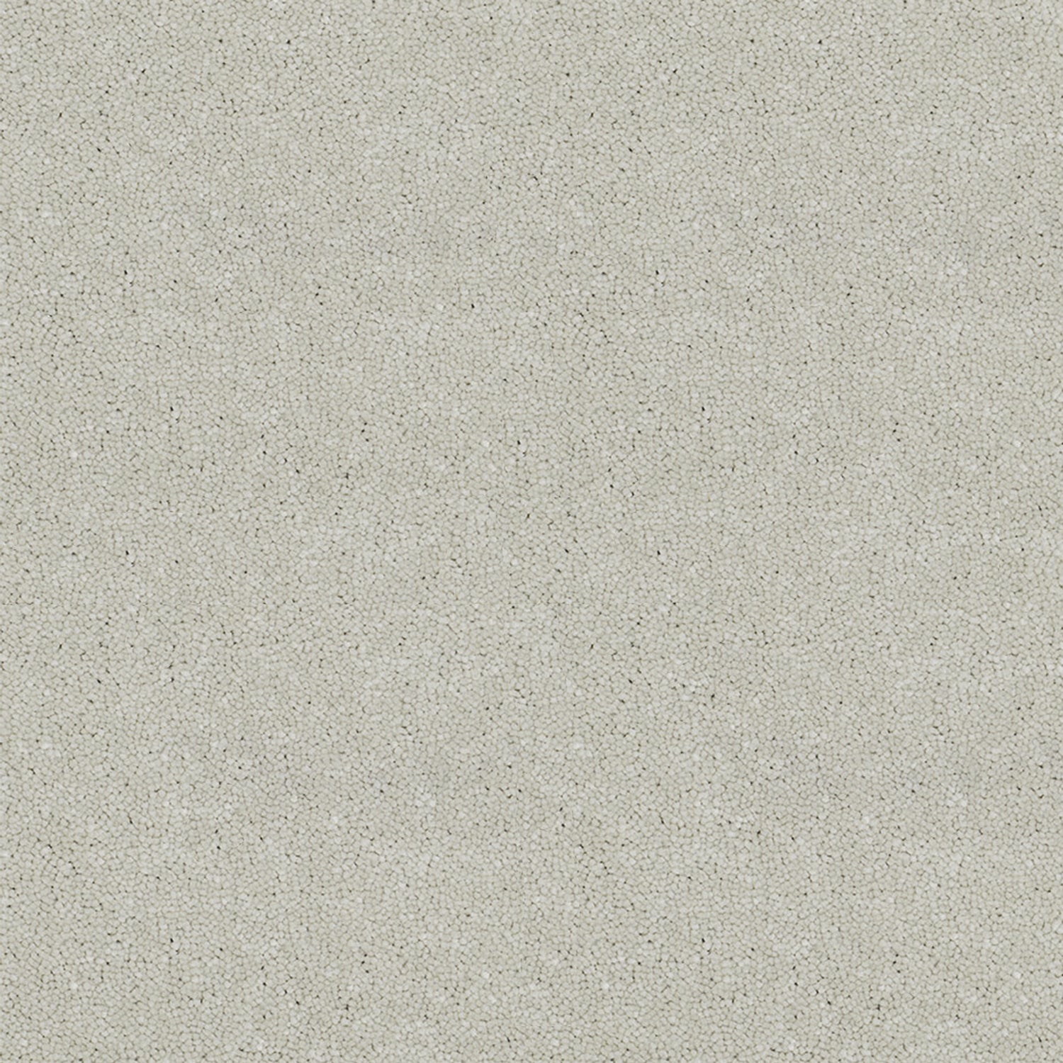 Victoria Carpets First Impressions Twist