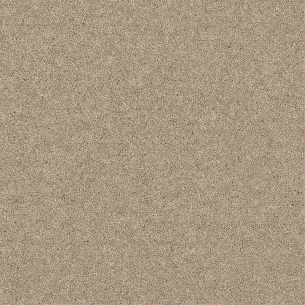 Victoria Carpets 42oz Tudor Twist Classic 80% Wool Blend Carpet