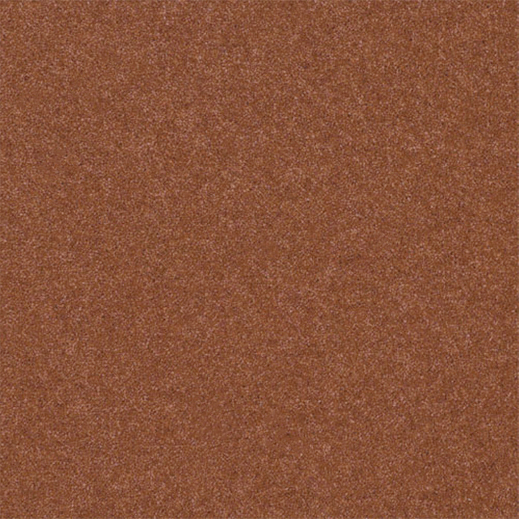 Victoria Carpets 53oz Tudor Twist Regal 80% Wool Blend Carpet