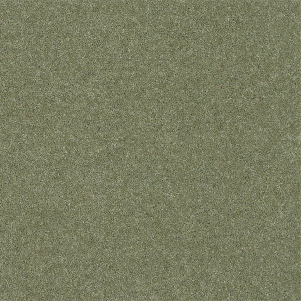 Victoria Carpets 53oz Tudor Twist Regal 80% Wool Blend Carpet