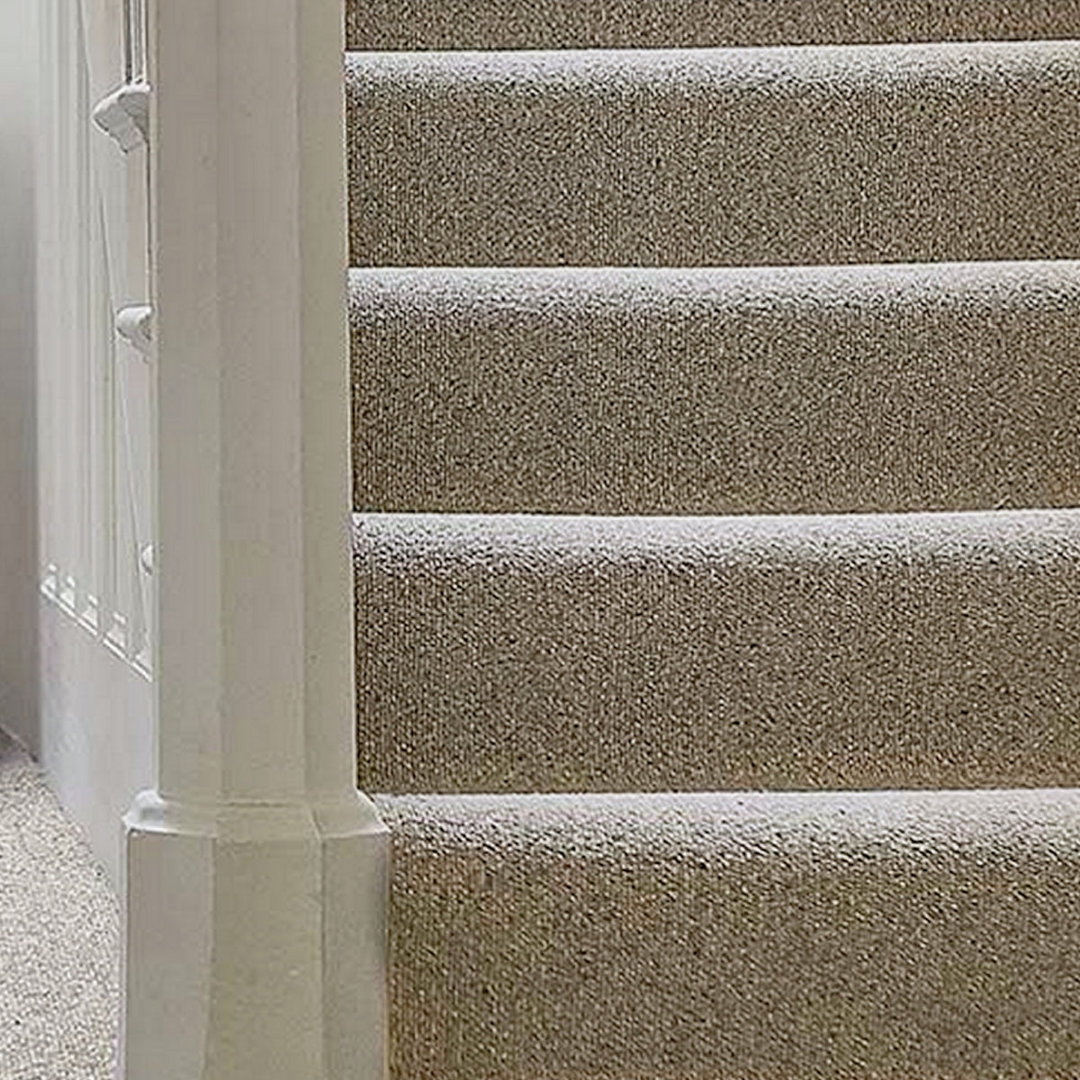 Abingdon Carpets Royal Sovereign 100% Wool Loop Carpet
