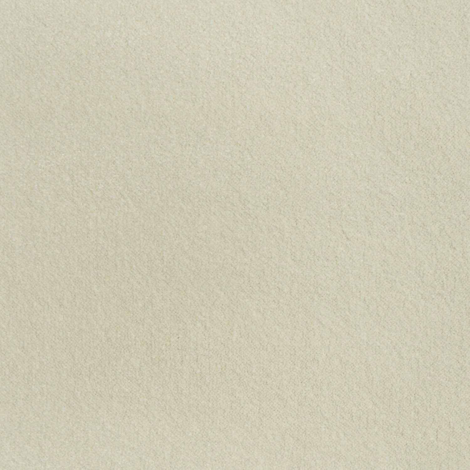 ITC Cabernet 100% Nylon Velvet Carpet
