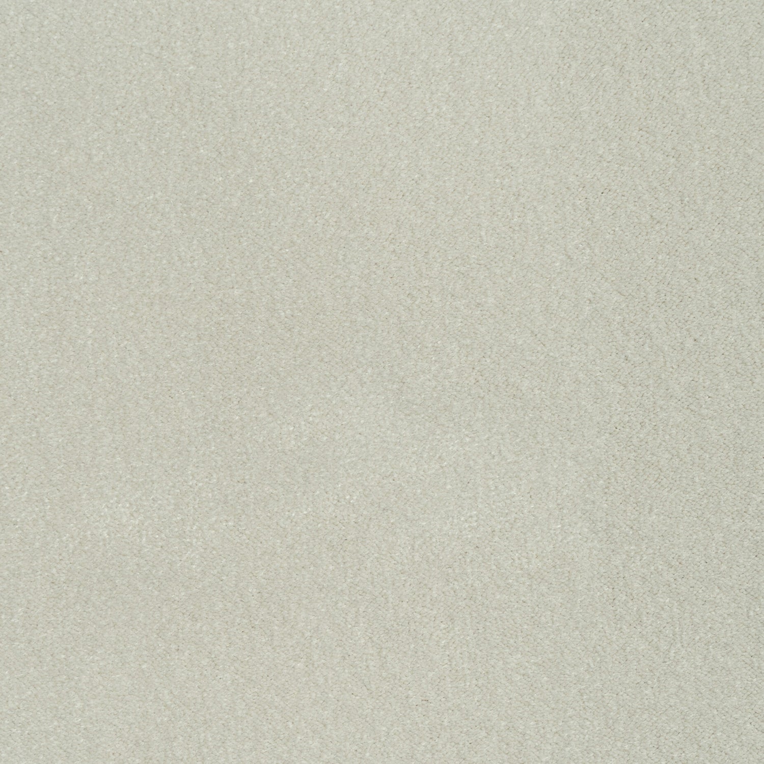 ITC Cabernet 100% Nylon Velvet Carpet