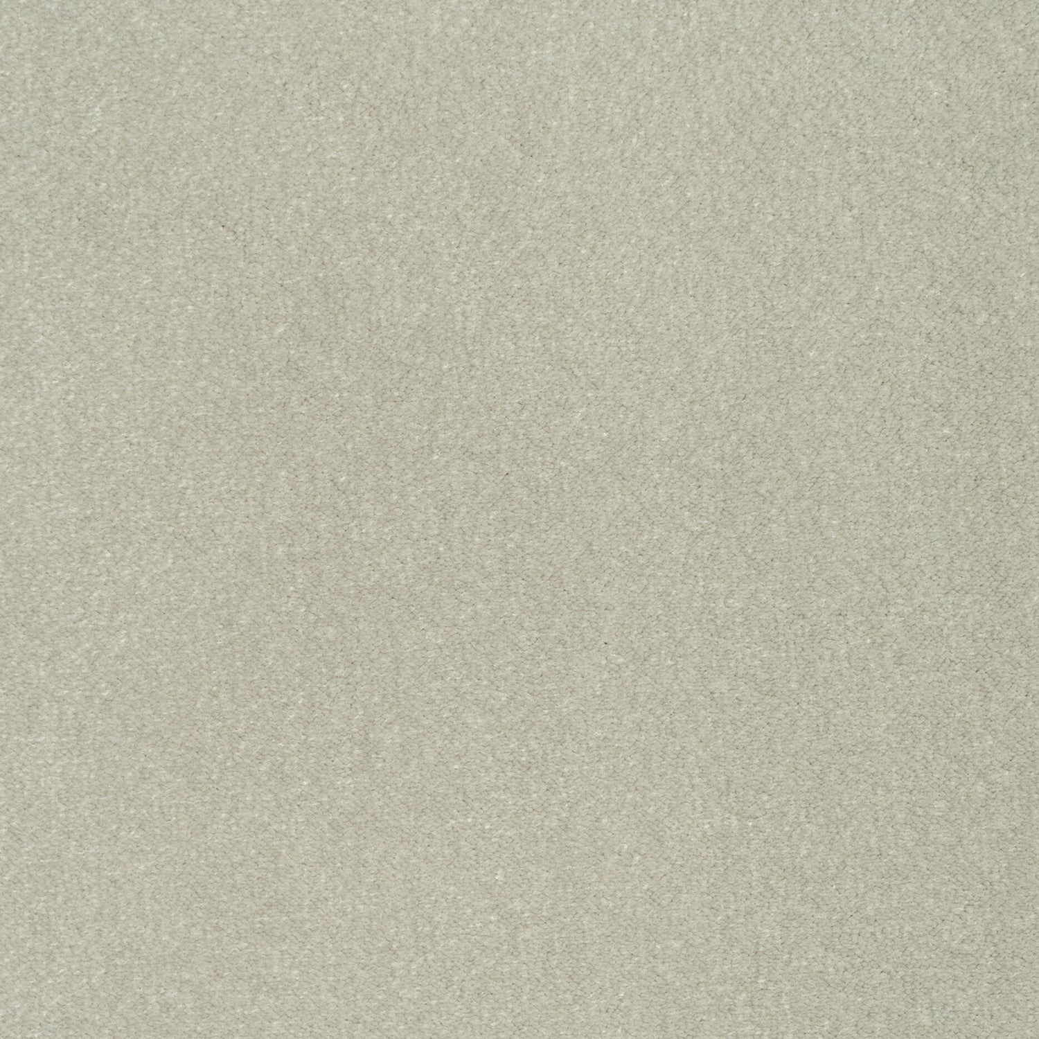 ITC Cabernet 100% Nylon Velvet Carpet