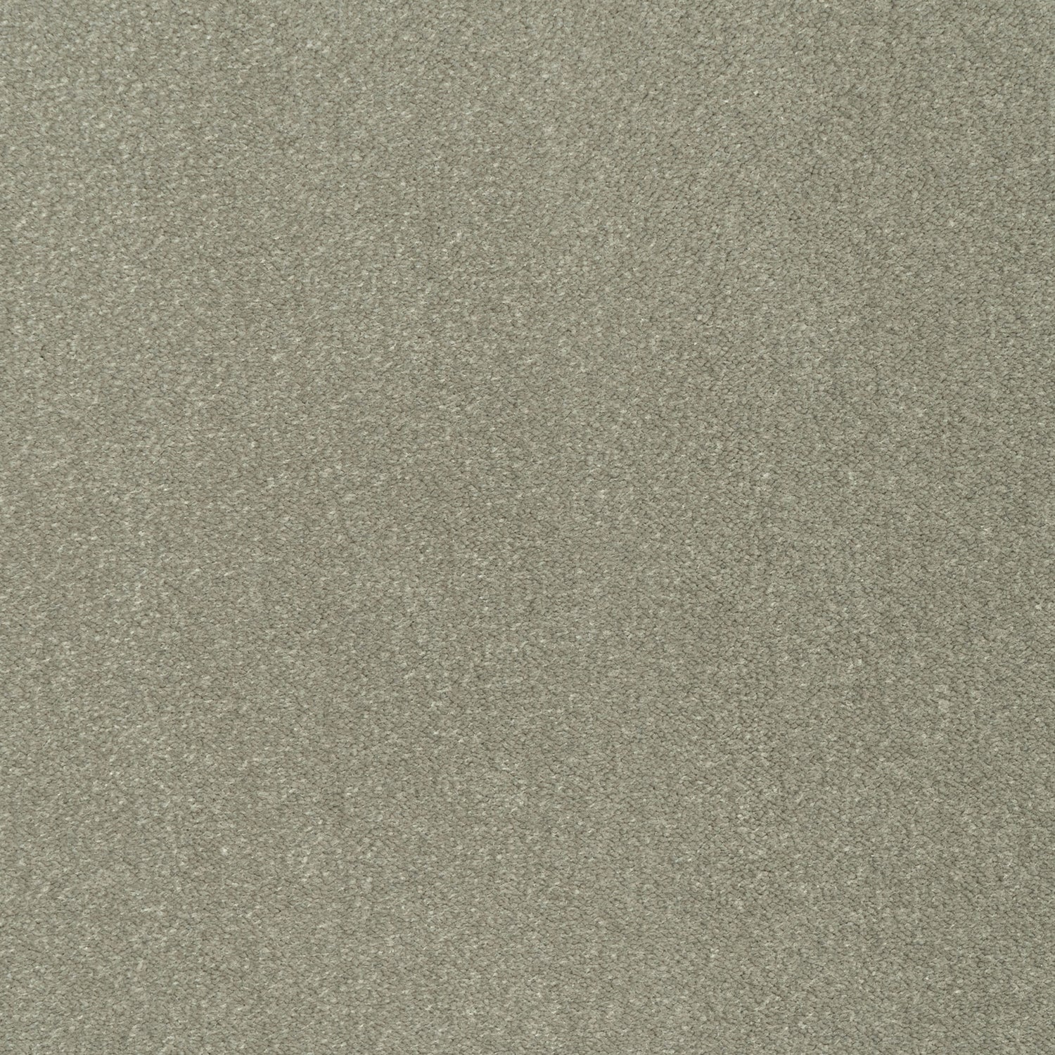 ITC Cabernet 100% Nylon Velvet Carpet
