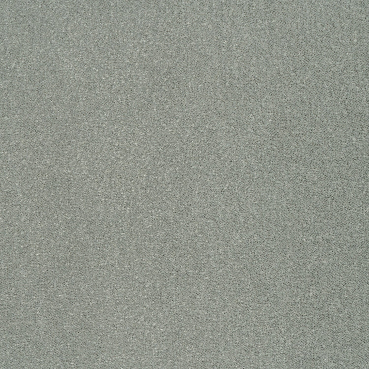 ITC Cabernet 100% Nylon Velvet Carpet
